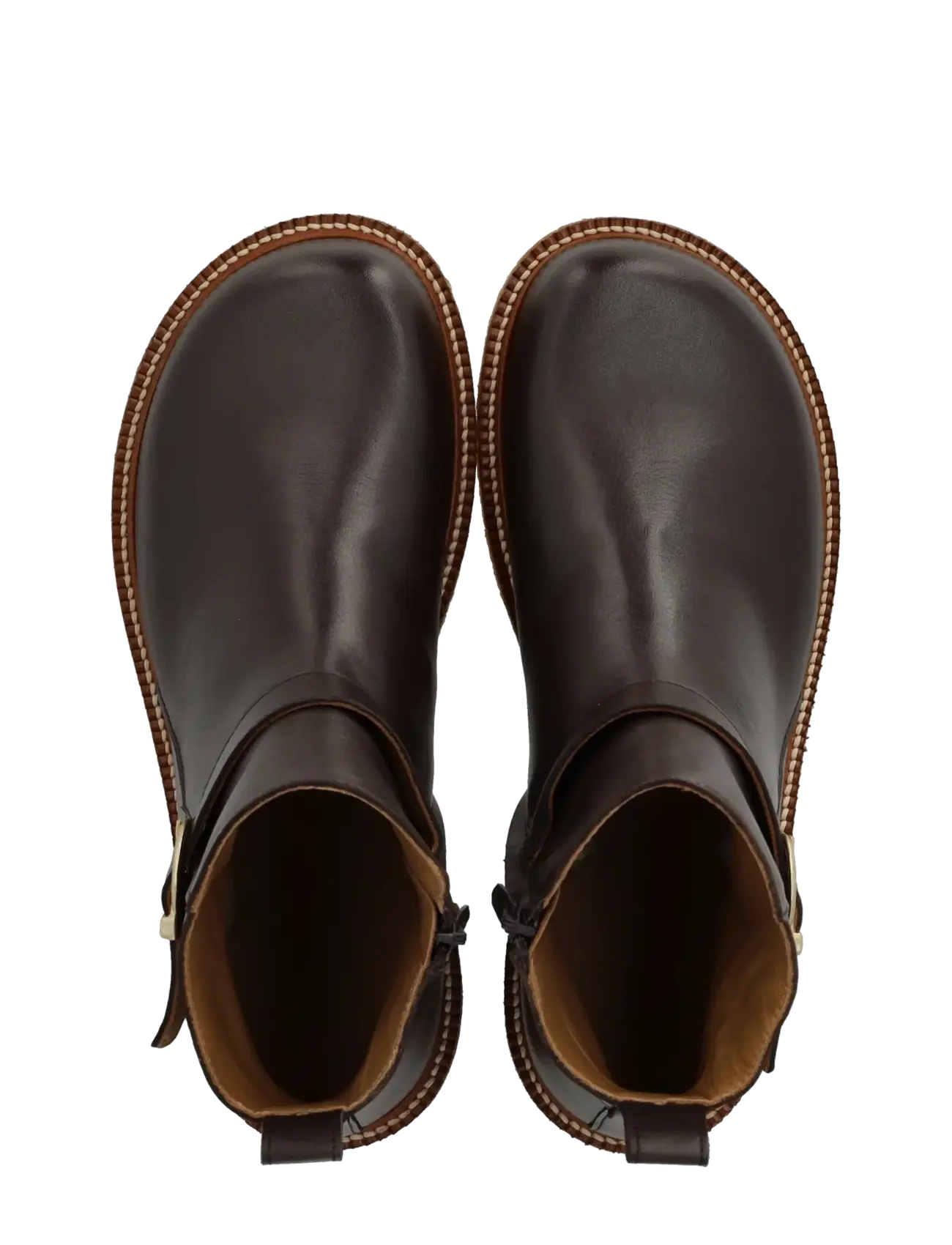ANGULUS - Booties - flat - with zipper - platta ankelboots - 2962 brown - 3