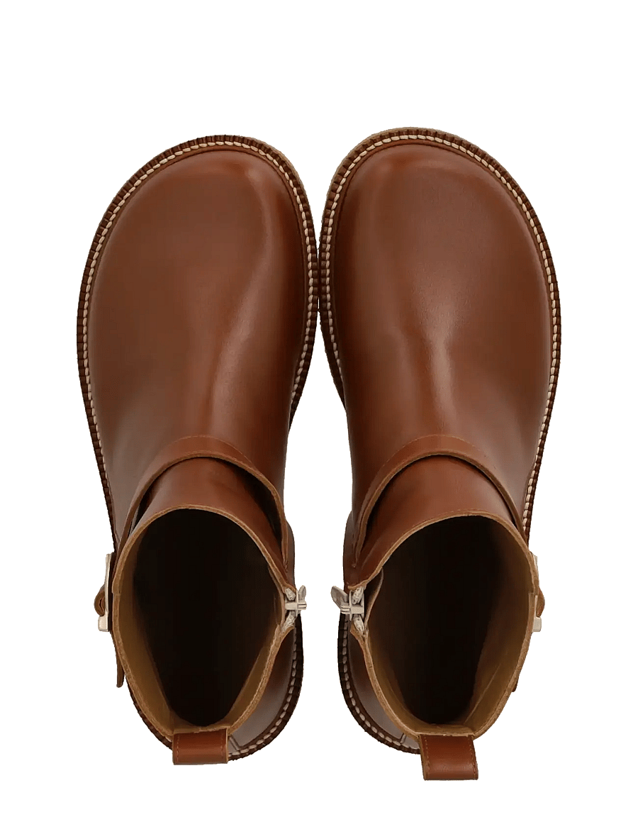 ANGULUS - Booties - flat - with zipper - flache stiefeletten - 3480 cognac - 3