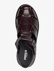 ANGULUS - Sandals - flat - closed toe - - sandales - 1836 dark brown - 3