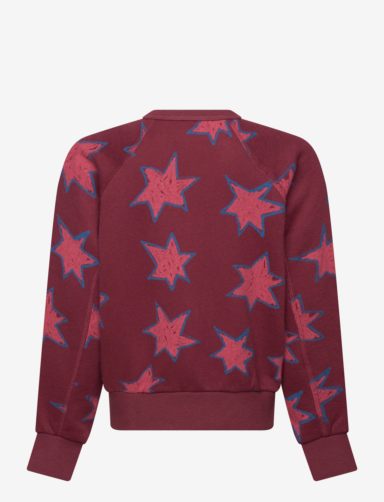 THE ANIMALS OBSERVATORY - Stars Shark Sweatshirt - dressipluusid - browned farnet - 1
