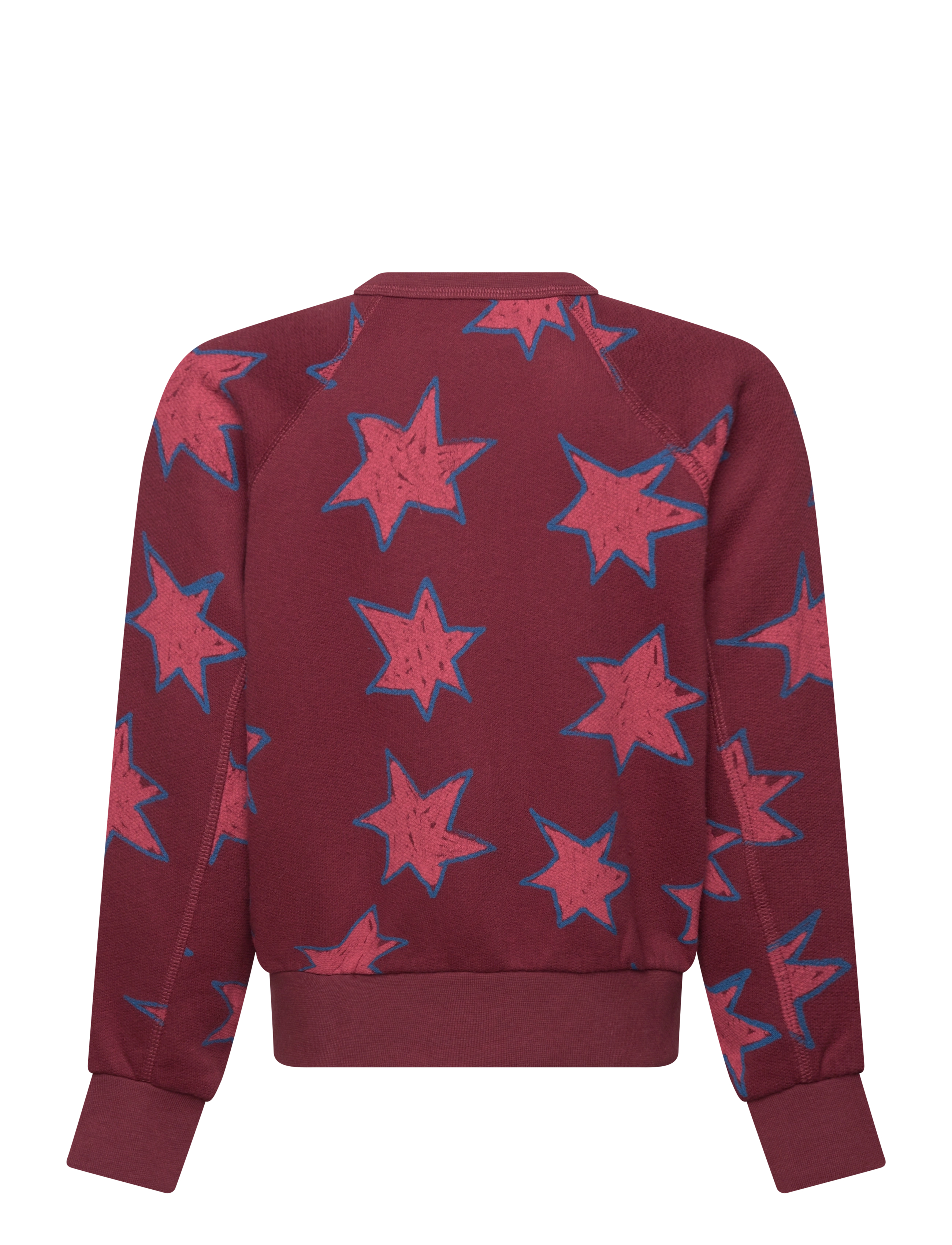 THE ANIMALS OBSERVATORY - Stars Shark Sweatshirt - sweatshirts - browned farnet - 1