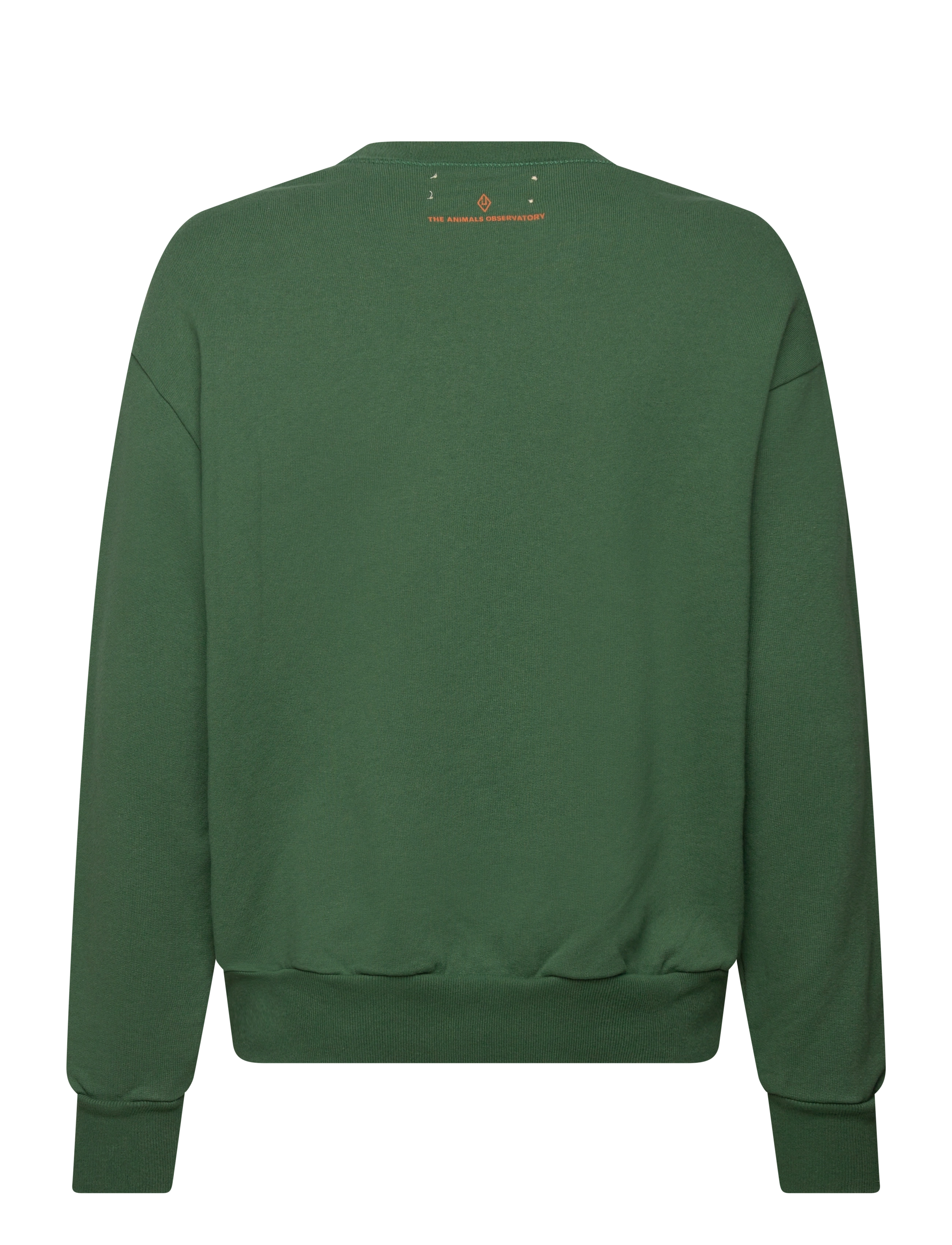 THE ANIMALS OBSERVATORY - Love Freen Bear Sweatshirt - collegepaidat - green - 1