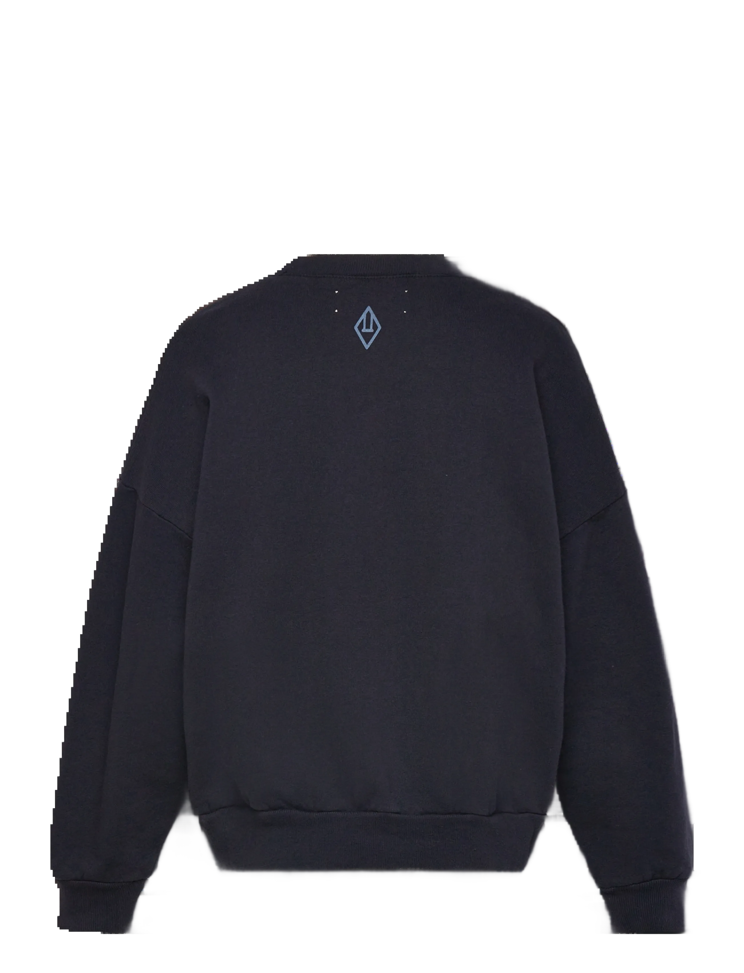 THE ANIMALS OBSERVATORY - Navy Leo Sweatshirt - navy - 1