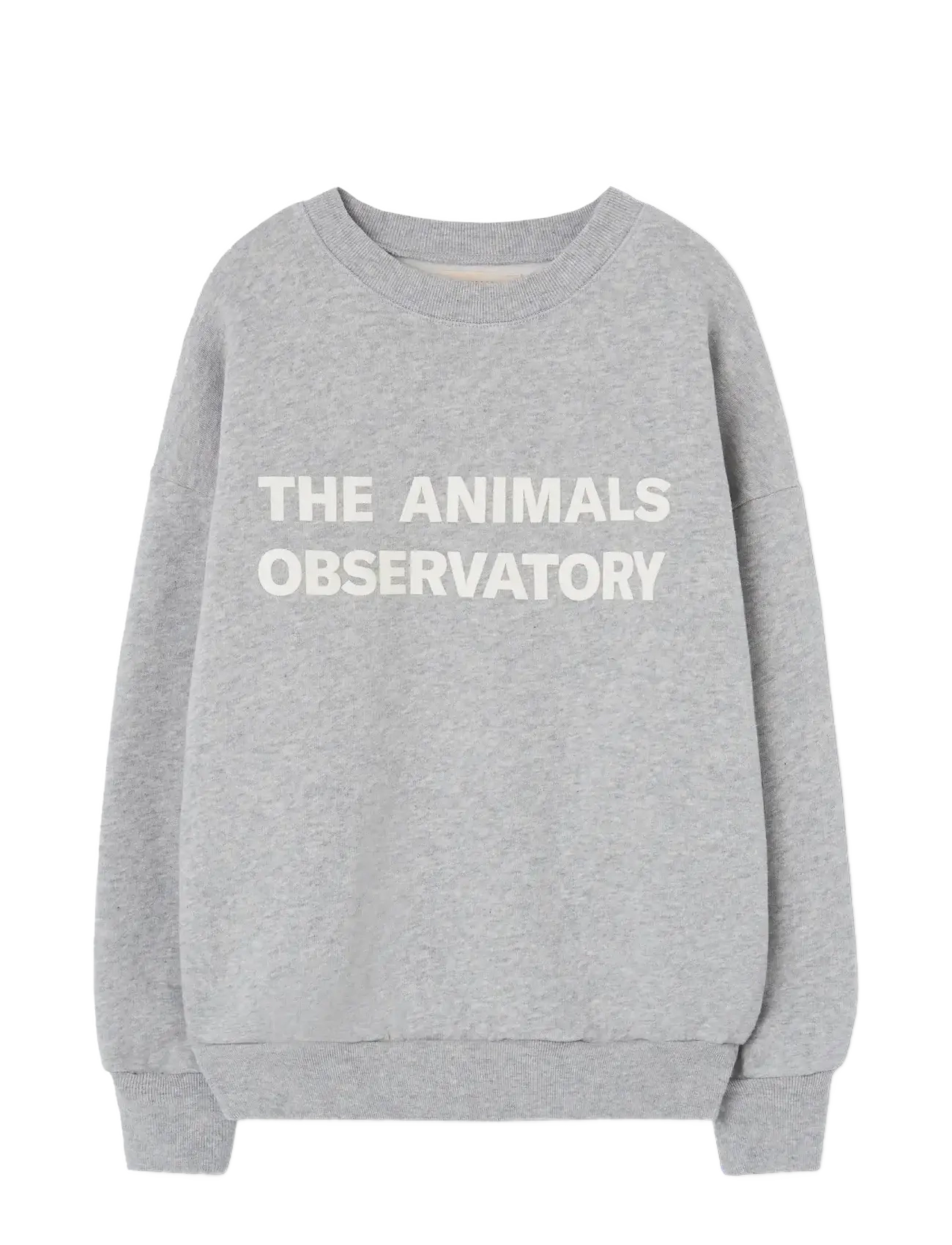 THE ANIMALS OBSERVATORY Frey Leo Sweatshirt - Back to school - MEDIUM GREY HEATHER / grey