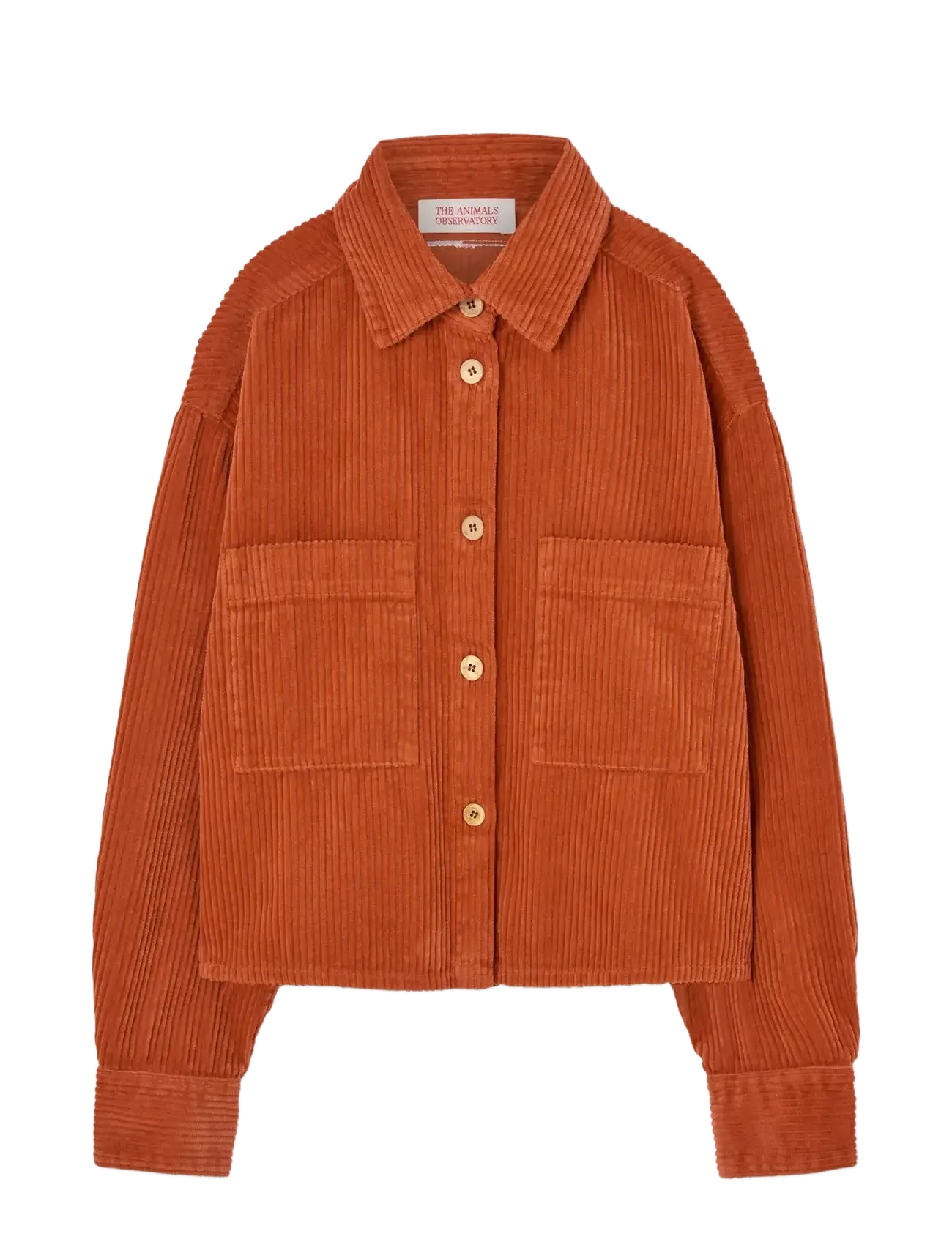 THE ANIMALS OBSERVATORY Fif Rot Beabull Shirt Orange - 10 Y - Kinder
