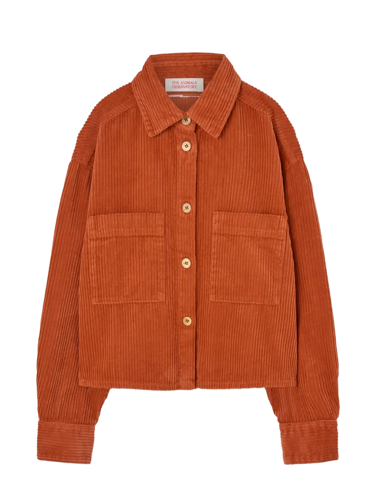 THE ANIMALS OBSERVATORY Fif Rot Beabull Shirt Orange - 4 Y - Kinder