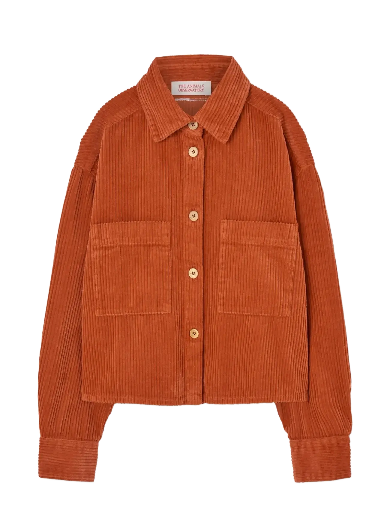 THE ANIMALS OBSERVATORY Fif Rot Beabull Shirt Orange - 6 Y - Kinder