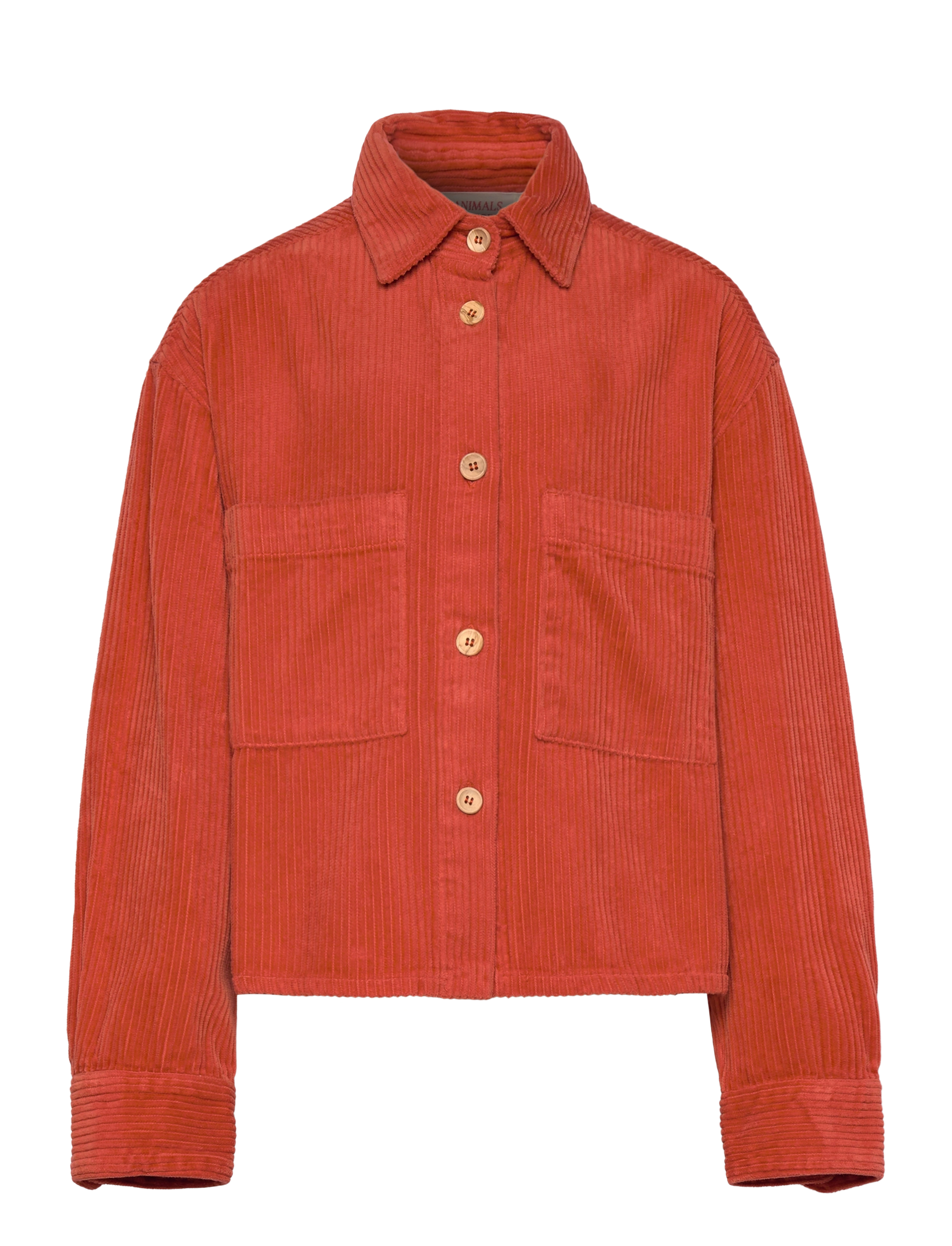THE ANIMALS OBSERVATORY Fif Red Beabull Shirt, 8 Y, Shirts, Orange - Long-sleeved Kinder