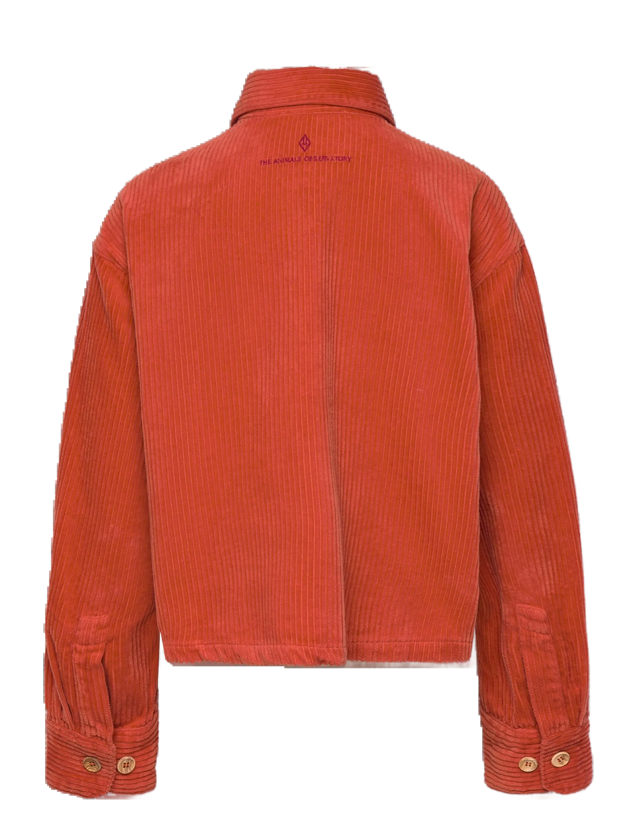 THE ANIMALS OBSERVATORY - FiF Red Beabull Shirt - langærmede skjorter - fig red - 1
