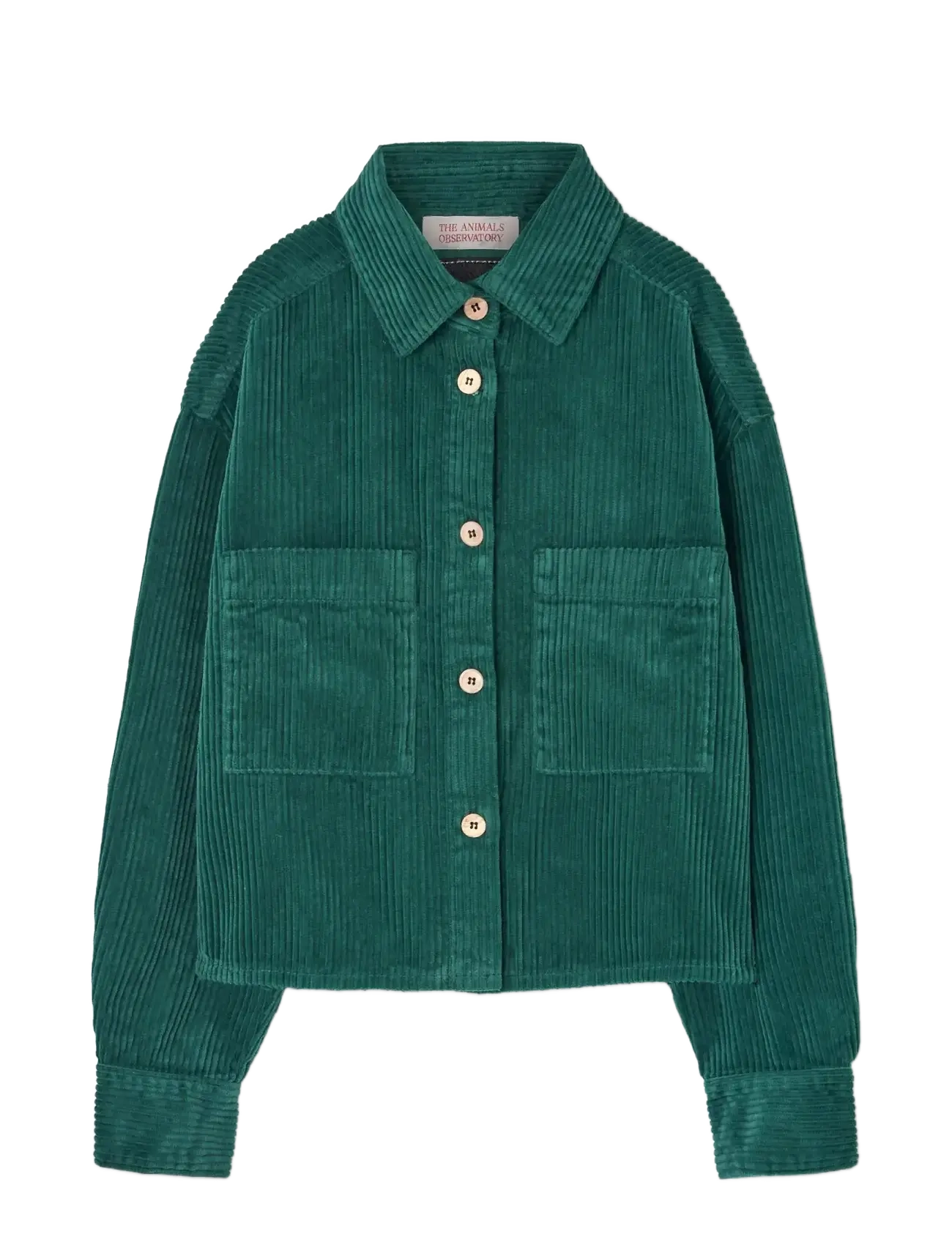 THE ANIMALS OBSERVATORY Freen Beabull Shirt, 4 Y, Green, Skjorter > Langærmede Shirts, Børn
