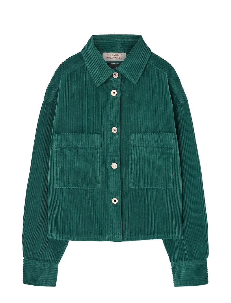 THE ANIMALS OBSERVATORY - Freen Beabull Shirt - pitkähihaiset kauluspaidat - green - 0