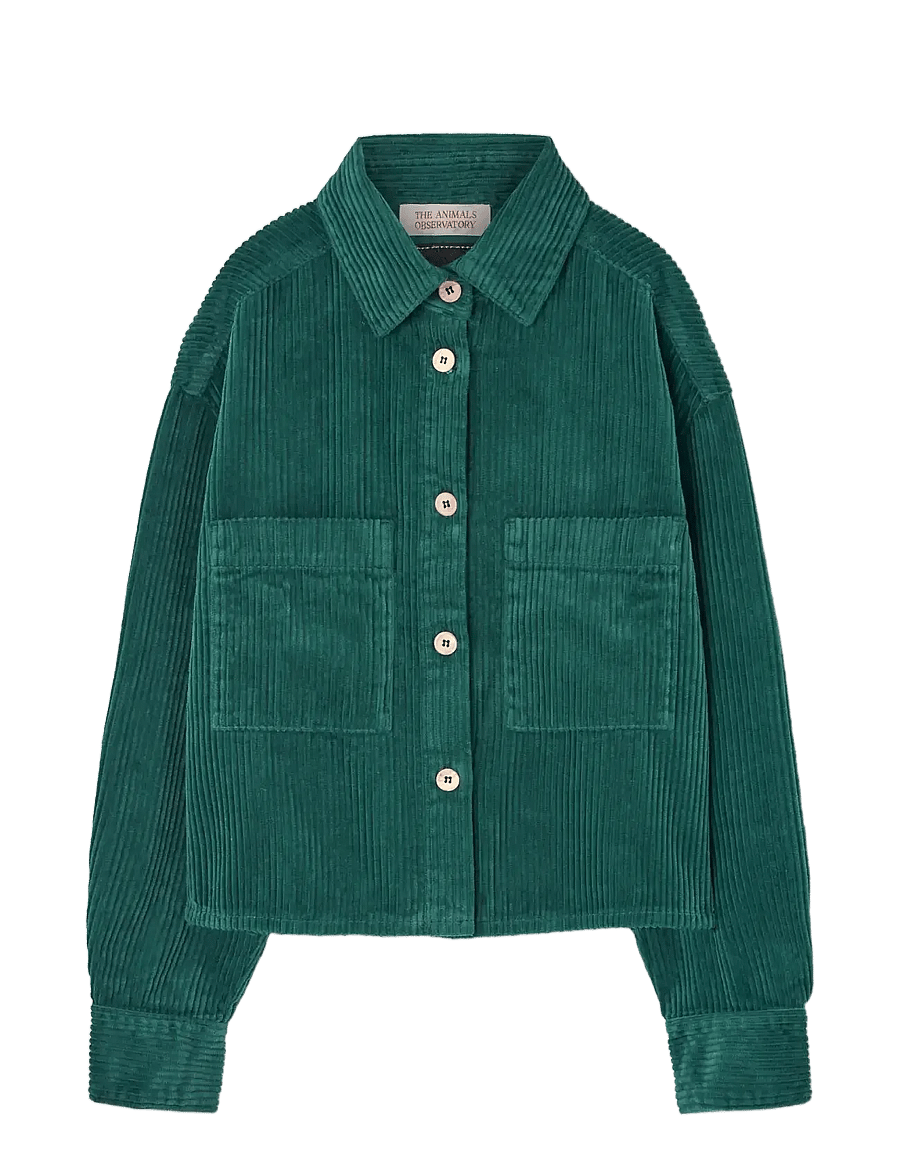 THE ANIMALS OBSERVATORY - Freen Beabull Shirt - pikkade varrukatega särgid - green - 0