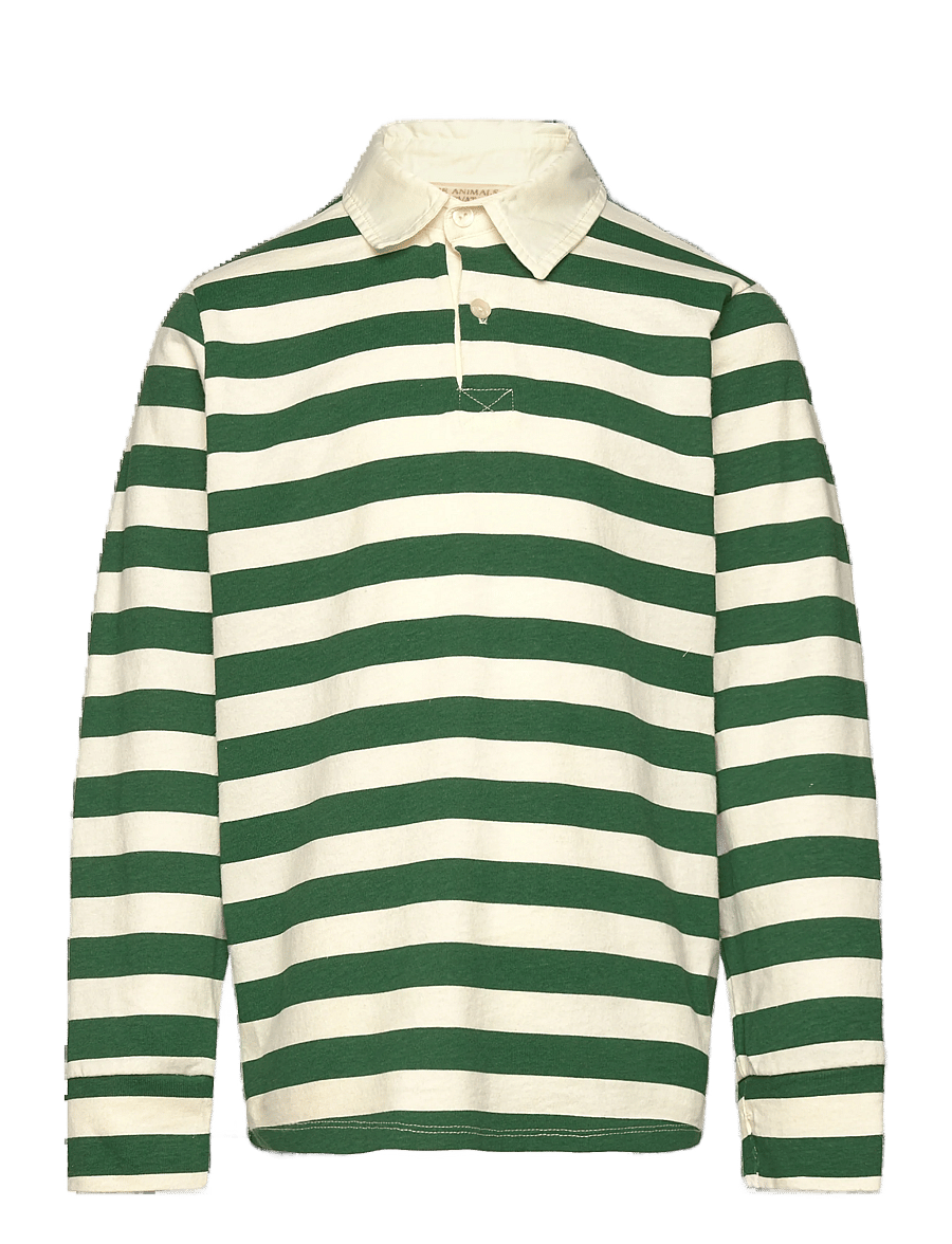 THE ANIMALS OBSERVATORY - Stripes Freen Eel Polo Shirt - pikkade varrukatega polod - green - 0