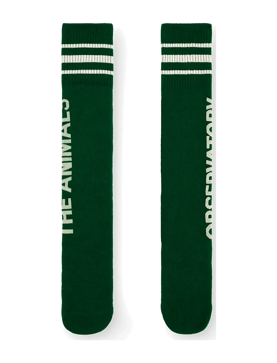THE ANIMALS OBSERVATORY - SKUNK KID SOCKS - sokid - dark green - 1