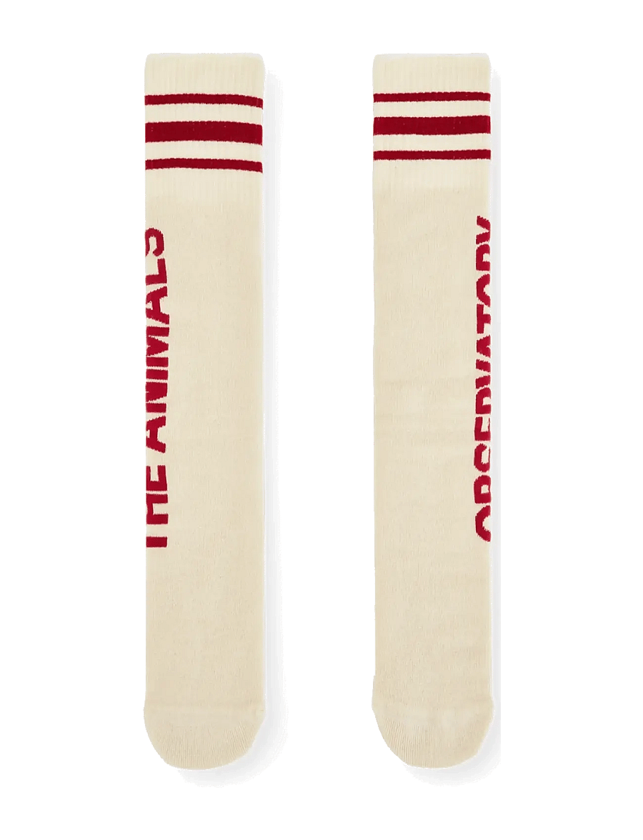 THE ANIMALS OBSERVATORY - SKUNK KID SOCKS - sokid - raw white - 1