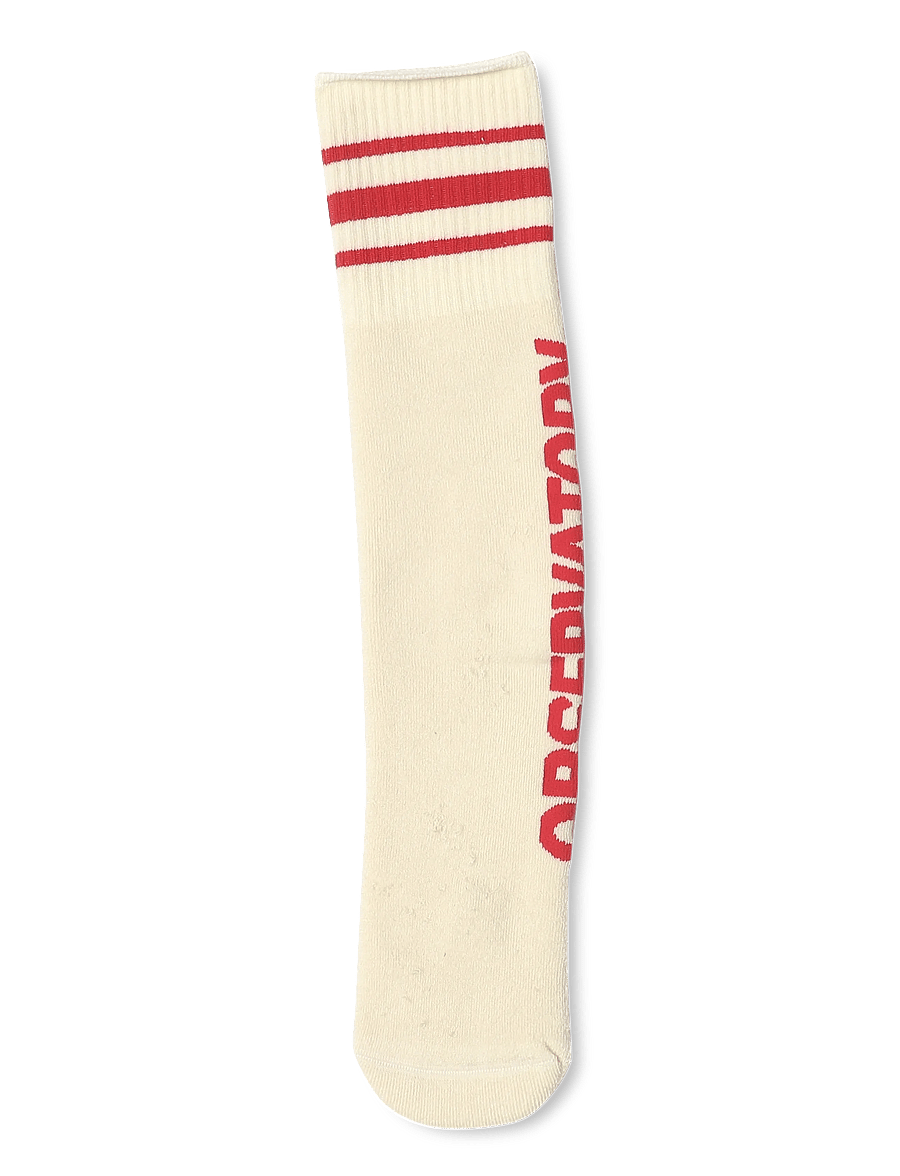 THE ANIMALS OBSERVATORY - SKUNK KID SOCKS - sokker - raw white - 1