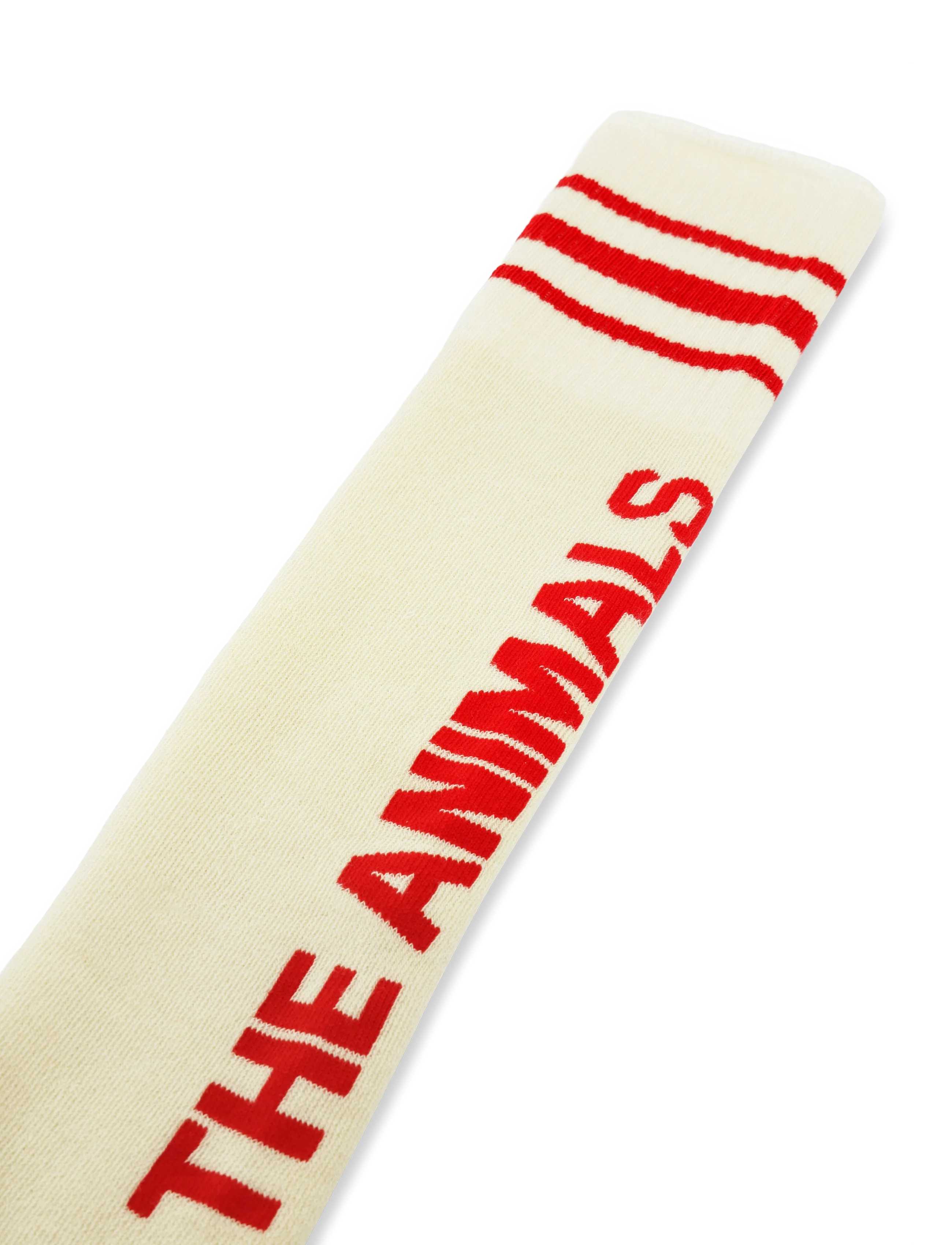 THE ANIMALS OBSERVATORY - SKUNK KID SOCKS - sokker - raw white - 4