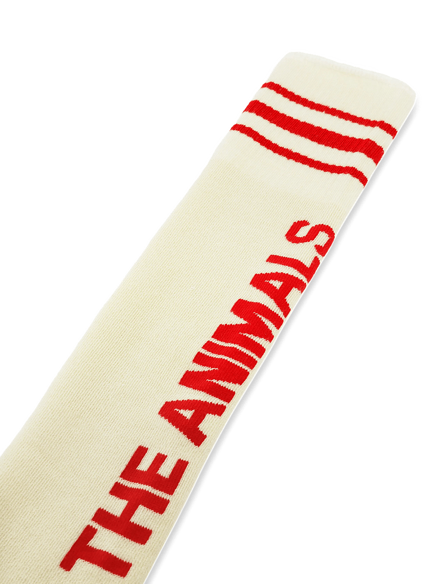 THE ANIMALS OBSERVATORY - SKUNK KID SOCKS - sokker - raw white - 4