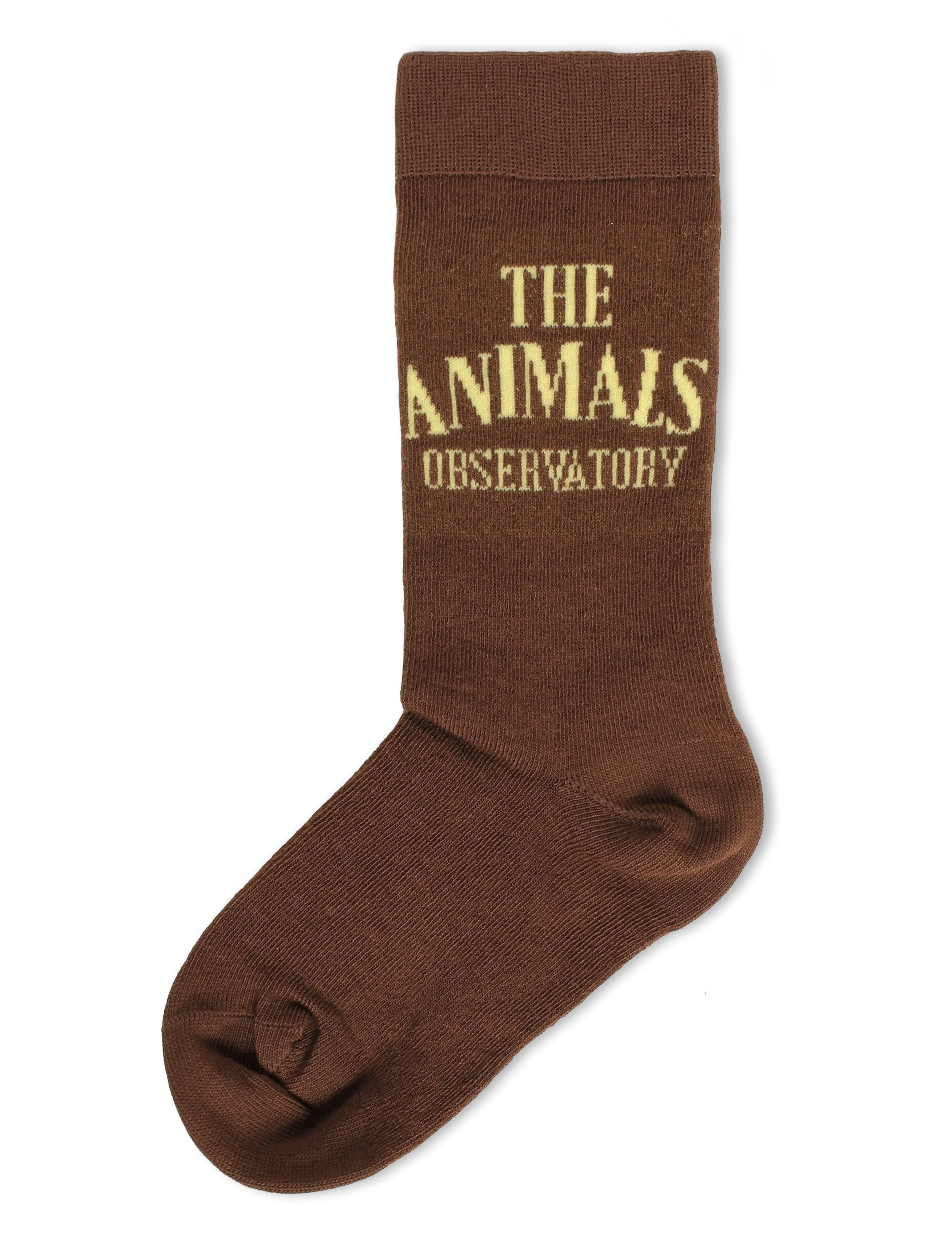 THE ANIMALS OBSERVATORY SNAIL KID SOCKS - Strømper - BROWN / brown