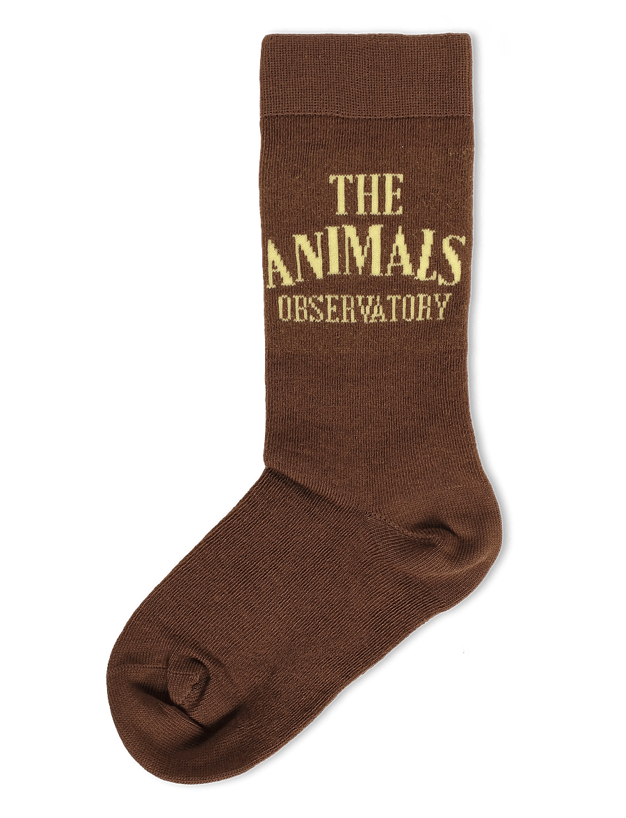 THE ANIMALS OBSERVATORY - SNAIL KID SOCKS - strømper - brown - 1