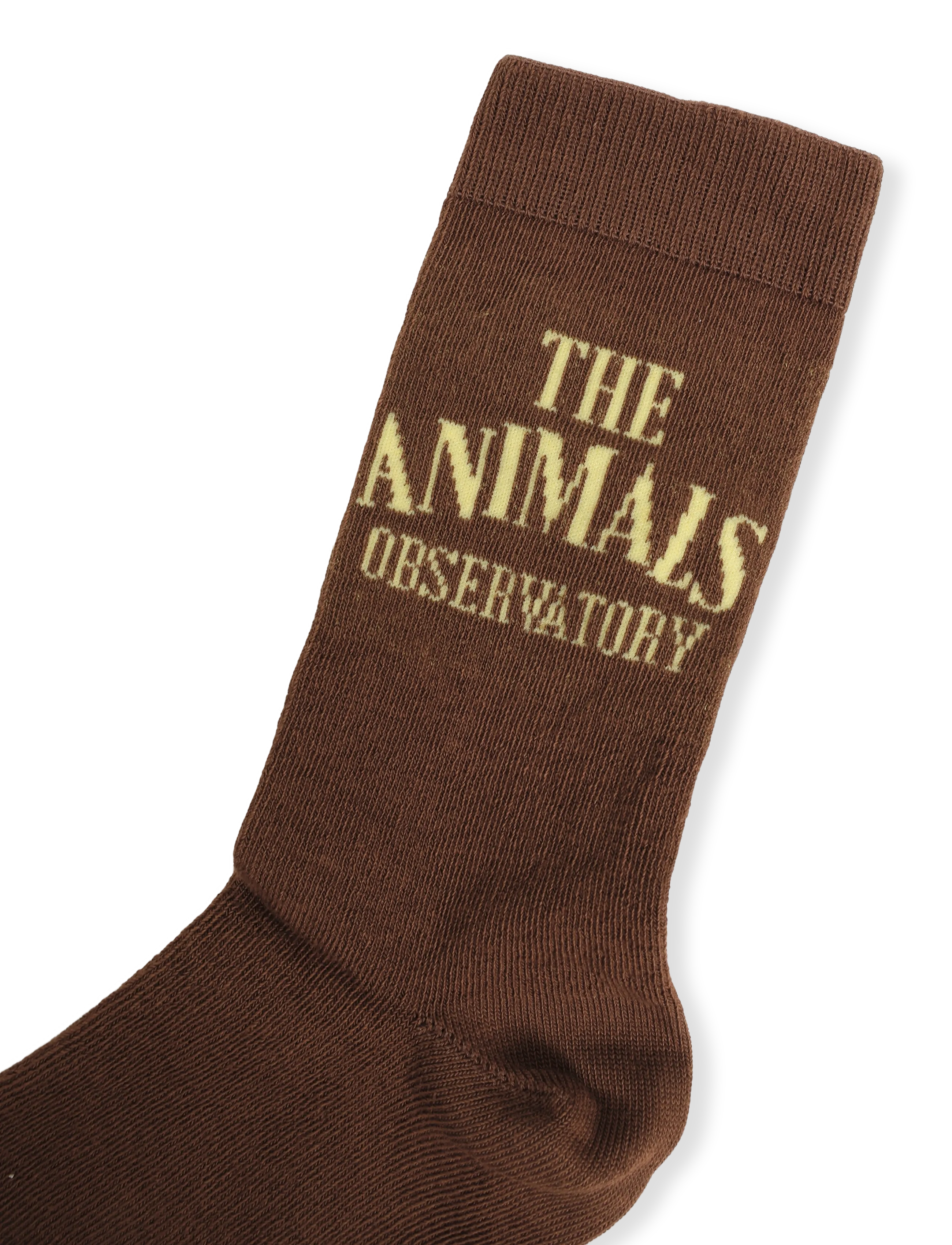 THE ANIMALS OBSERVATORY - SNAIL KID SOCKS - strømper - brown - 4