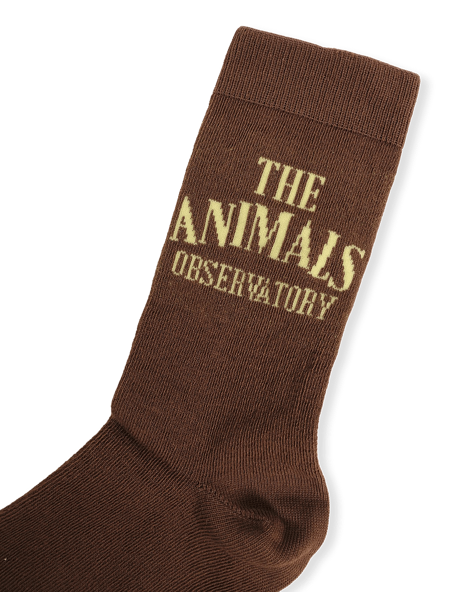 THE ANIMALS OBSERVATORY - SNAIL KID SOCKS - strømper - brown - 4