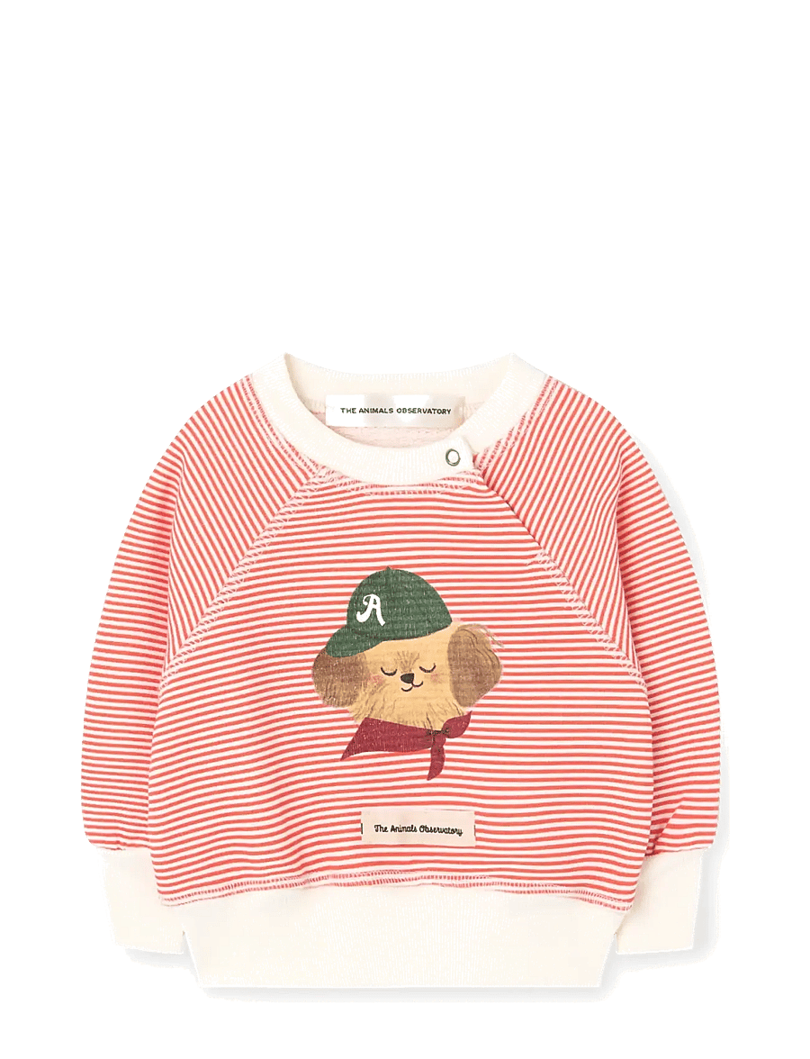 THE ANIMALS OBSERVATORY - JACKAL BABY SWEATSHIRT - raw white - 0