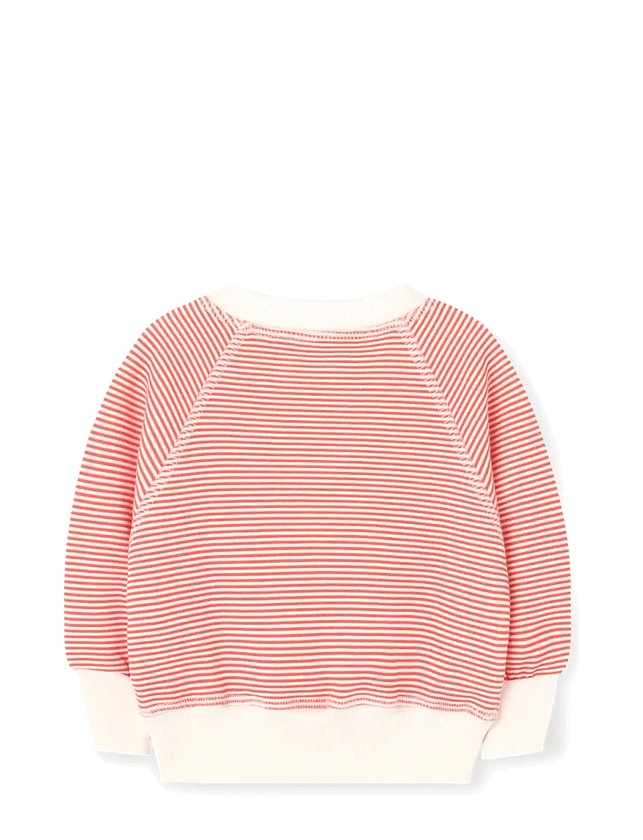 THE ANIMALS OBSERVATORY - JACKAL BABY SWEATSHIRT - raw white - 1