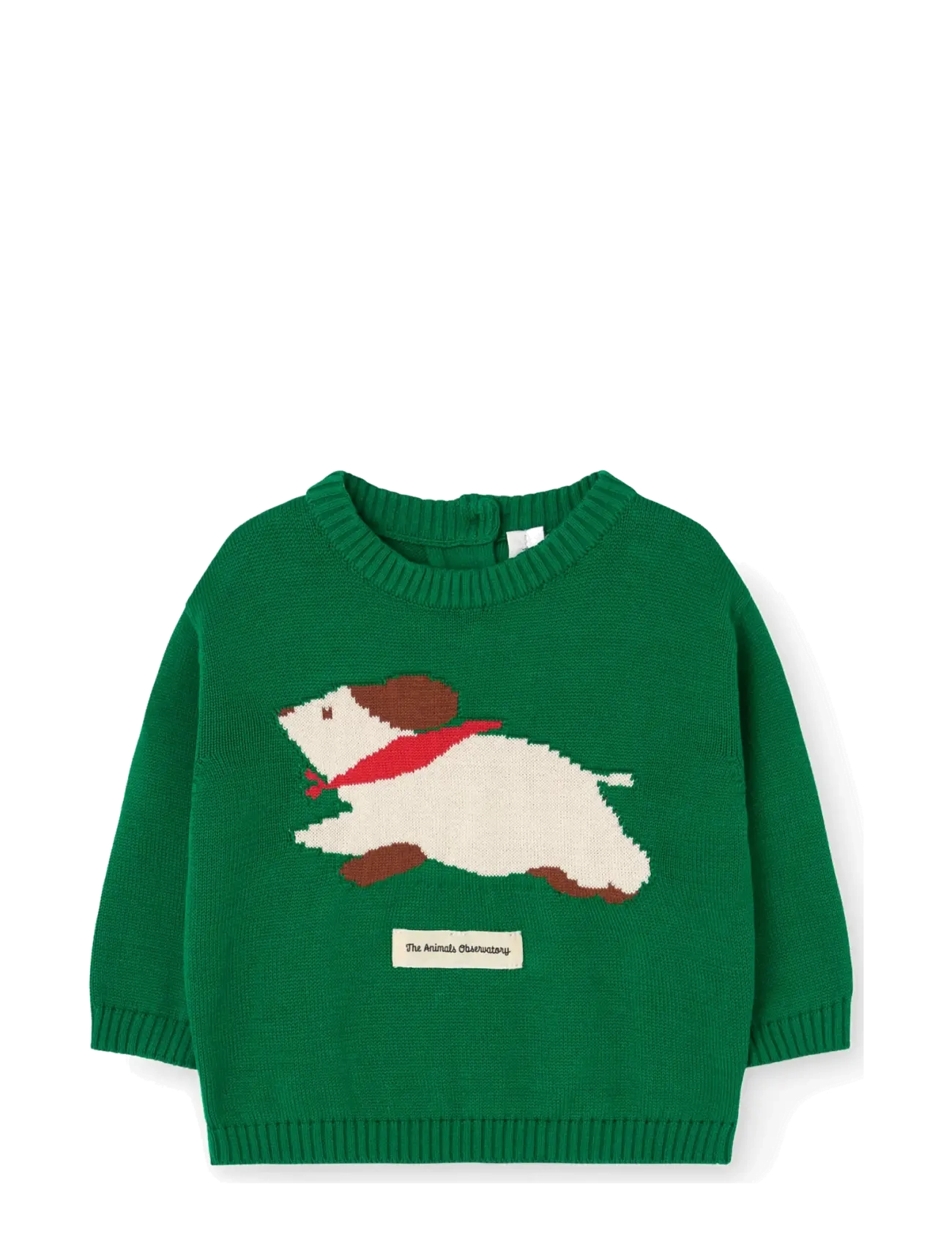 THE ANIMALS OBSERVATORY BOBCAT BABY SWEATER - New Arrivals - DARK GREEN / green