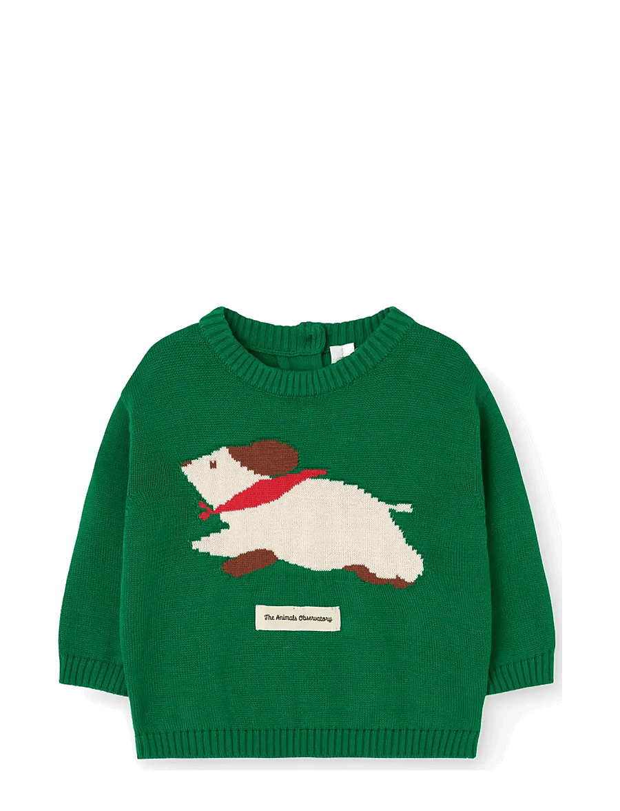 THE ANIMALS OBSERVATORY - BOBCAT BABY SWEATER - džemprid - dark green - 0