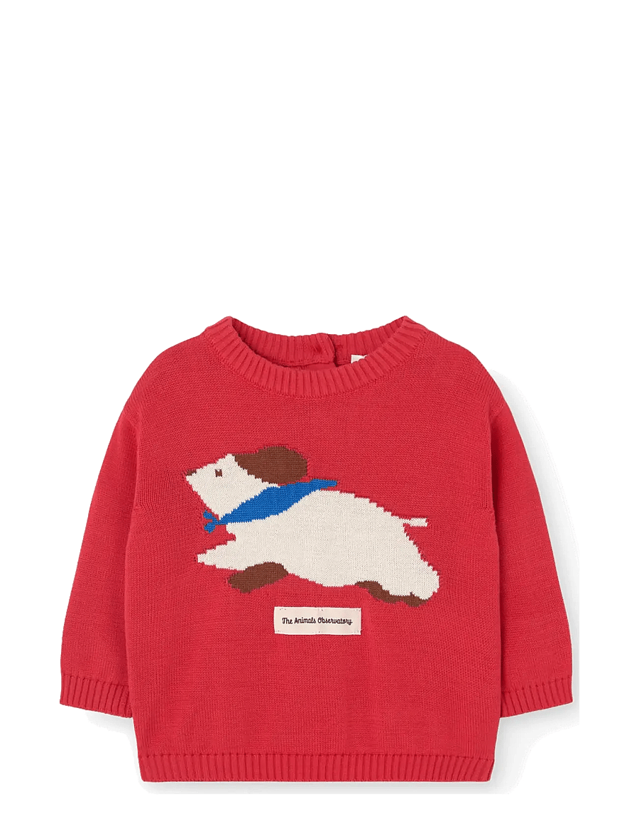 THE ANIMALS OBSERVATORY - BOBCAT BABY SWEATER - džemprid - red - 0