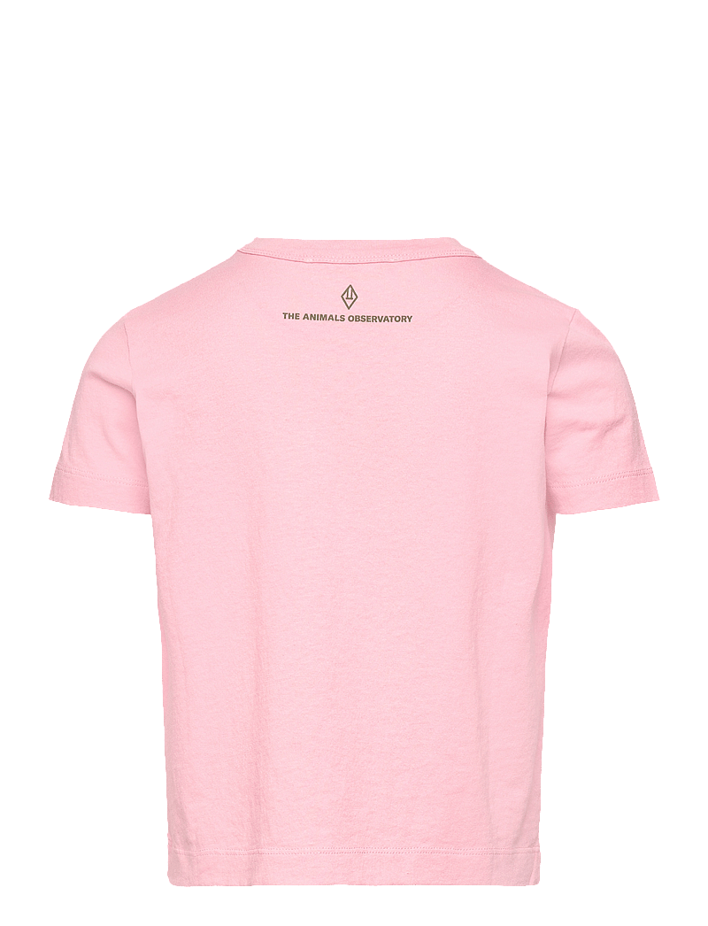 THE ANIMALS OBSERVATORY - BIG ROOSTER KID T-SHIRT Pink 10y - kurzärmelige - pink - 2