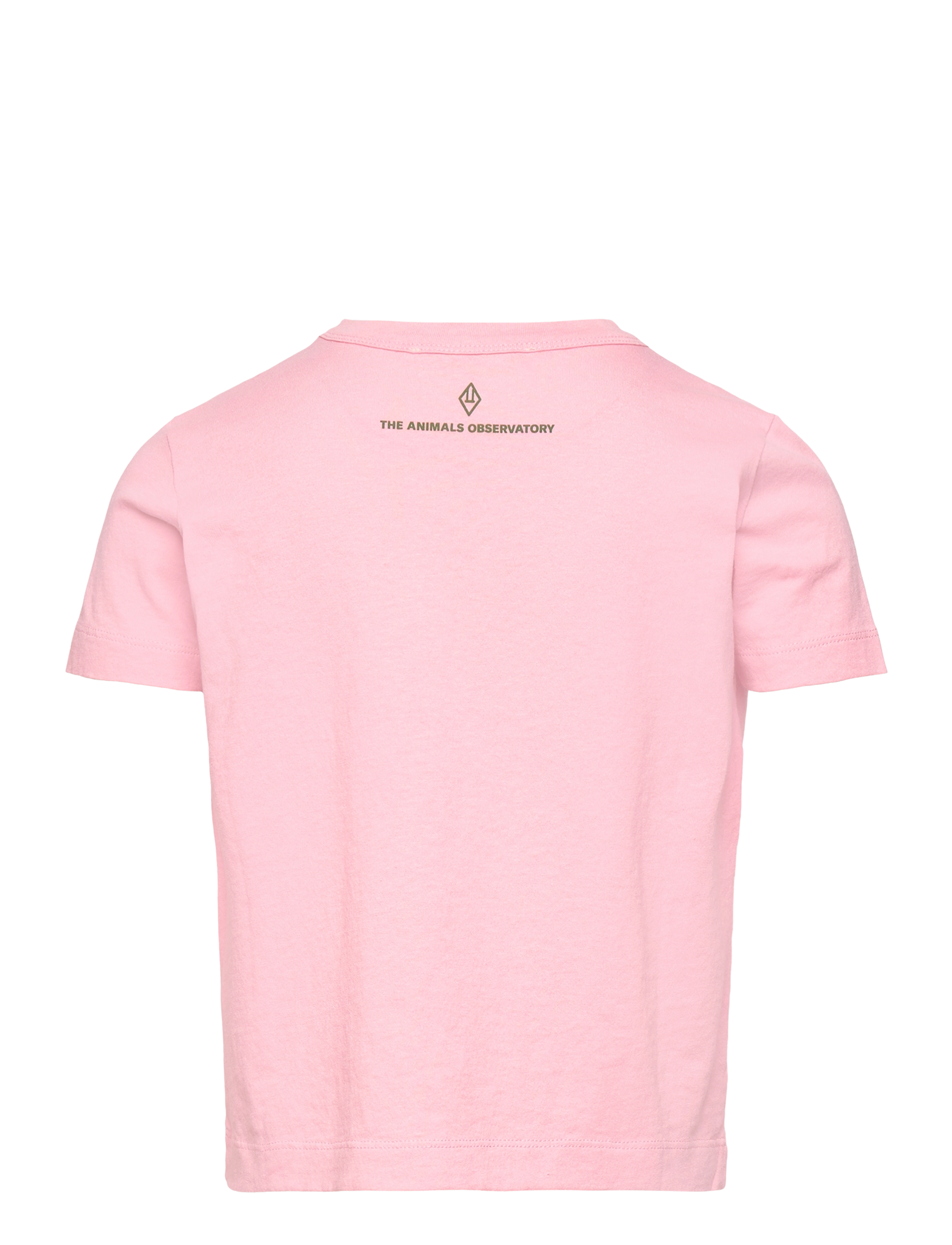 THE ANIMALS OBSERVATORY - BIG ROOSTER KID T-SHIRT Pink 10y - t-shirts à manches courtes - pink - 2
