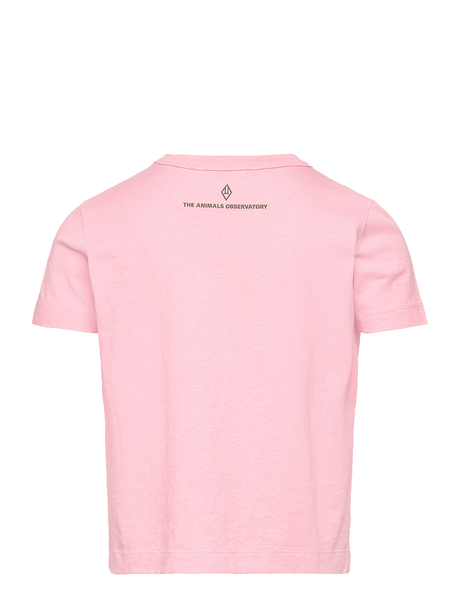 THE ANIMALS OBSERVATORY - BIG ROOSTER KID T-SHIRT Pink 10y - kurzärmelige - pink - 2