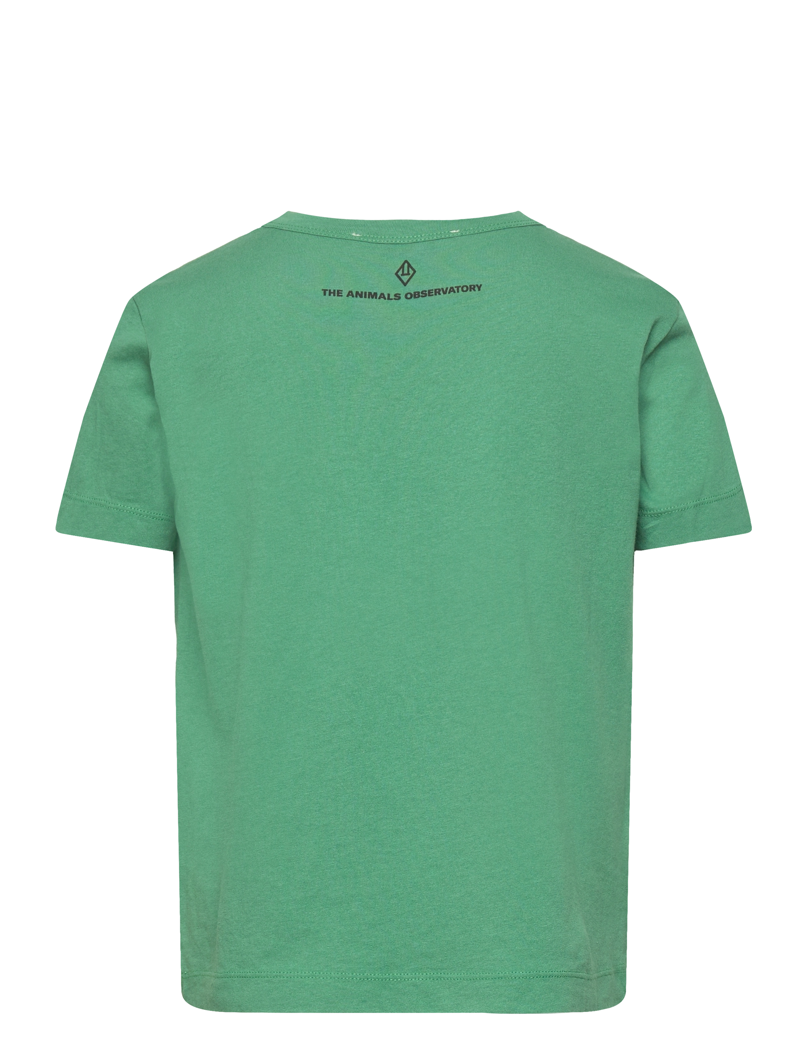 THE ANIMALS OBSERVATORY - BIG ROOSTER KID T-SHIRT Green 8y - t-shirts - green - 2