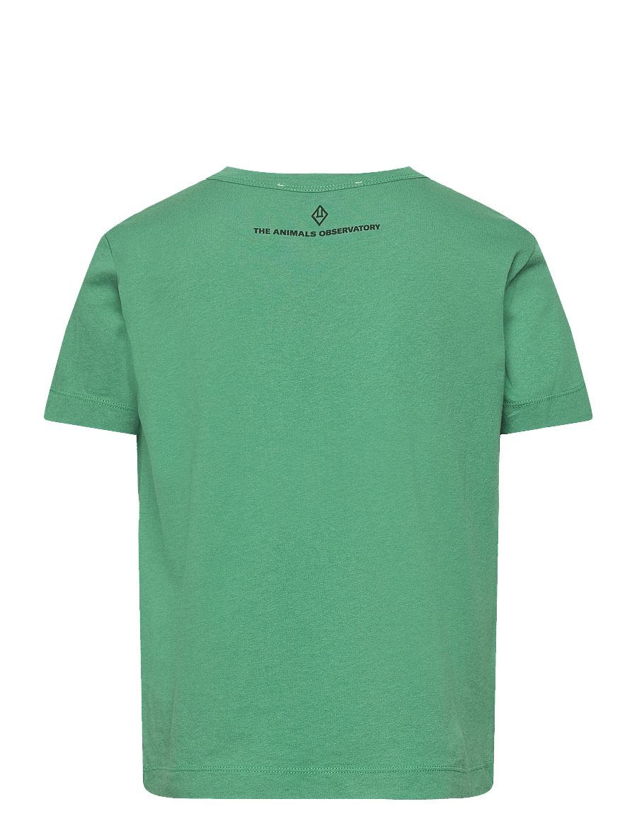 THE ANIMALS OBSERVATORY - BIG ROOSTER KID T-SHIRT Green 8y - marškinėliai - green - 2