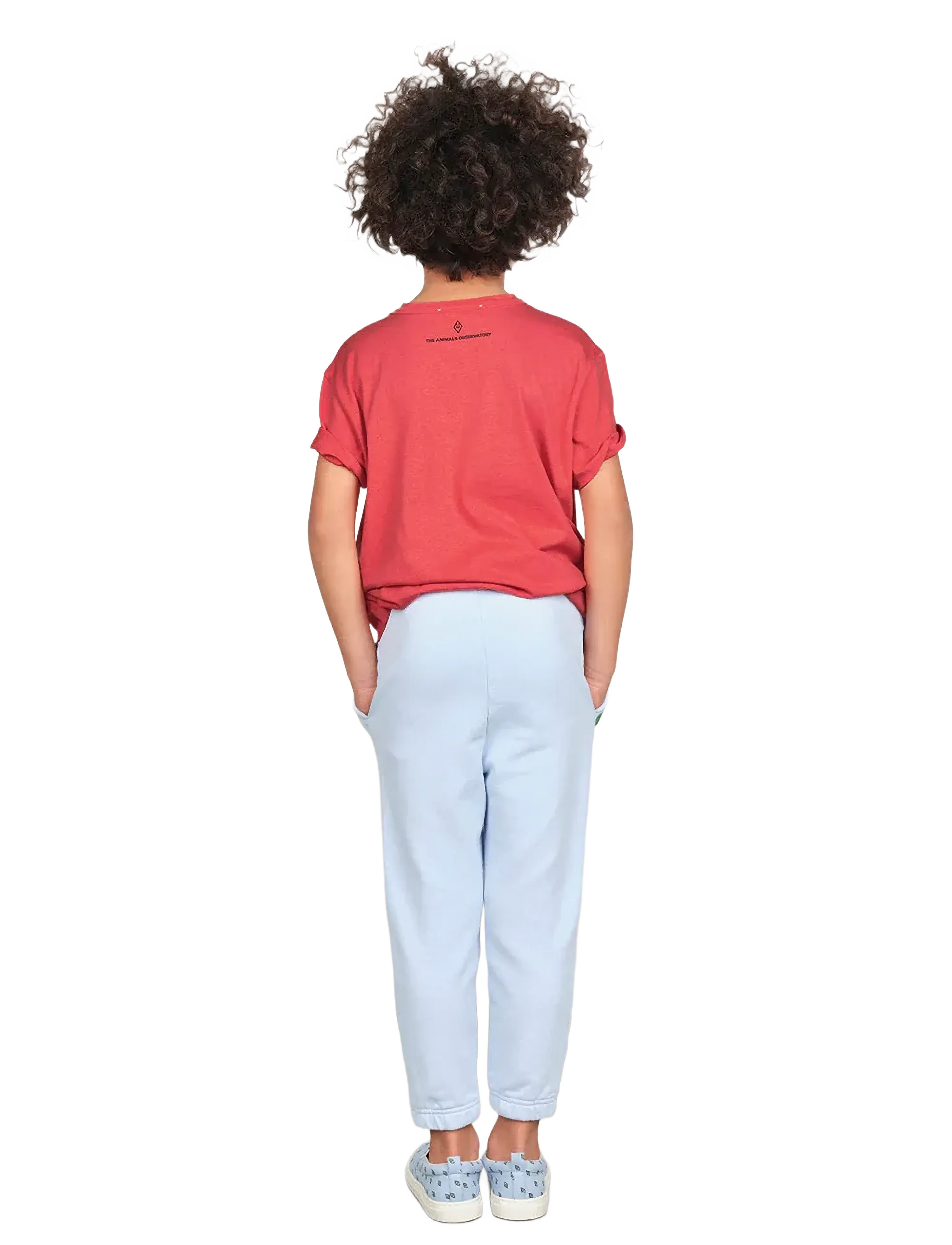THE ANIMALS OBSERVATORY - BIG ROOSTER KID T-SHIRT Red 14y - red - 2