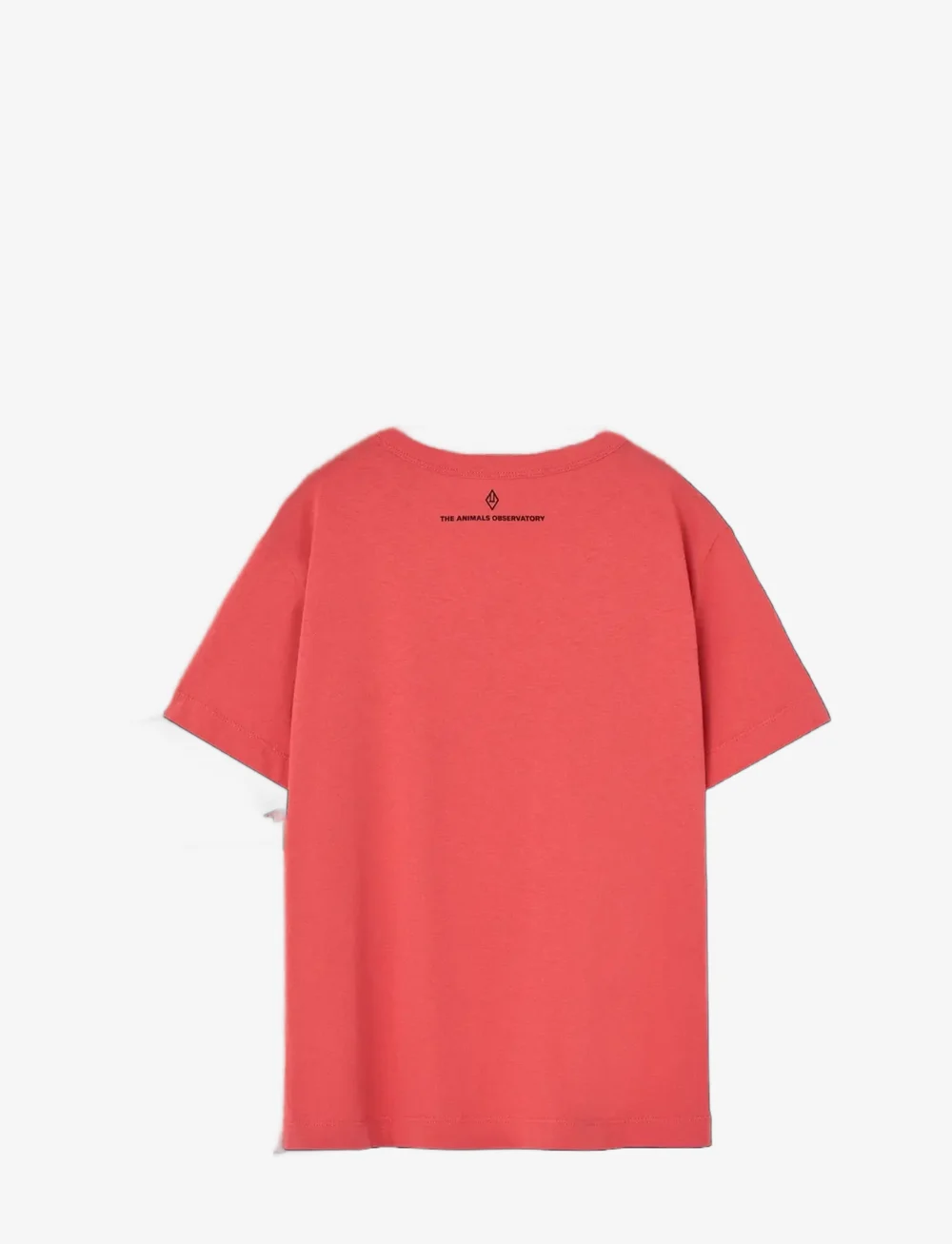 THE ANIMALS OBSERVATORY - BIG ROOSTER KID T-SHIRT Red 3y - kurzärmelige - red - 1