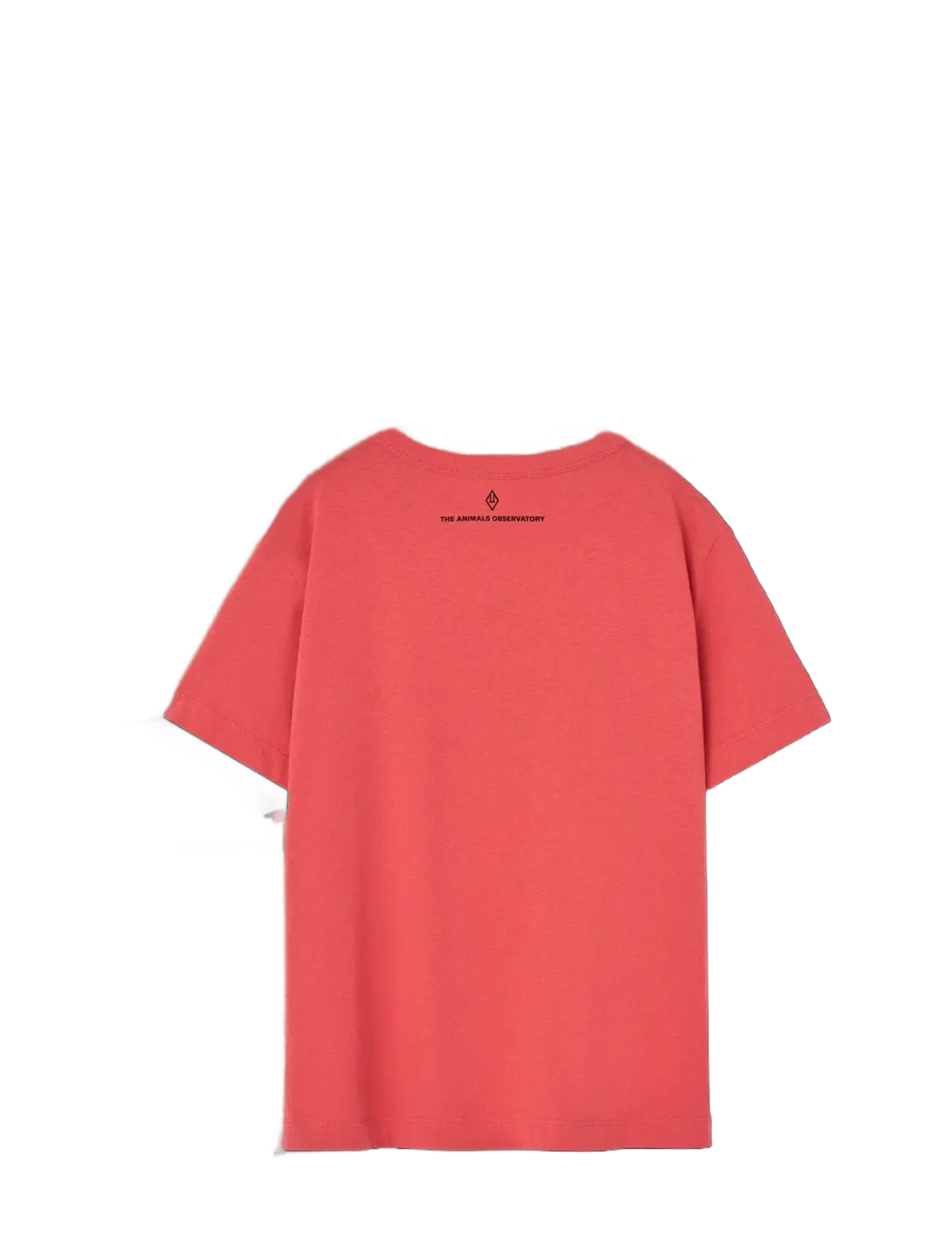 THE ANIMALS OBSERVATORY - BIG ROOSTER KID T-SHIRT Red 14y - red - 1