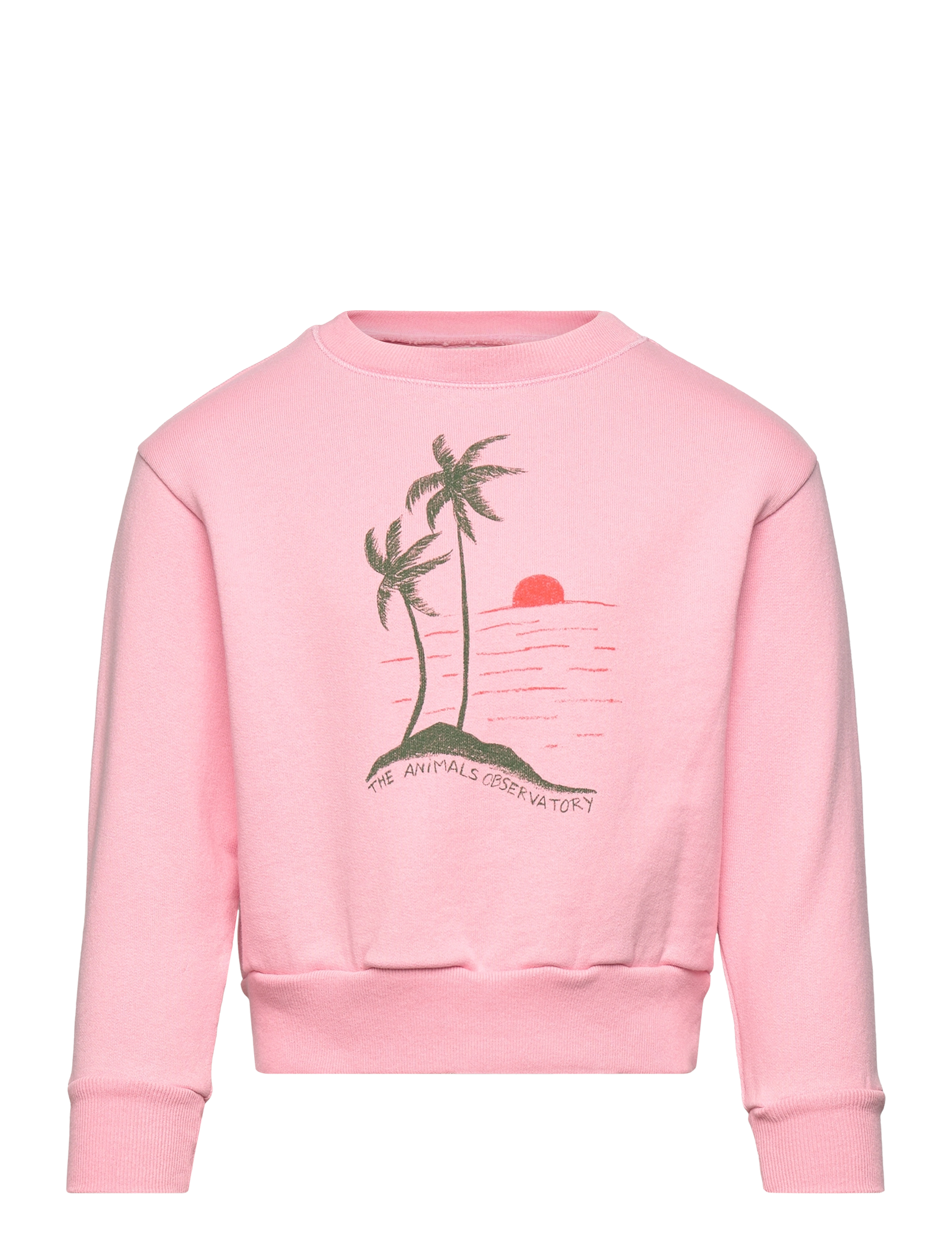 THE ANIMALS OBSERVATORY Bear Kid Sweatshirt Pink Pink - 2 Y - Kinder