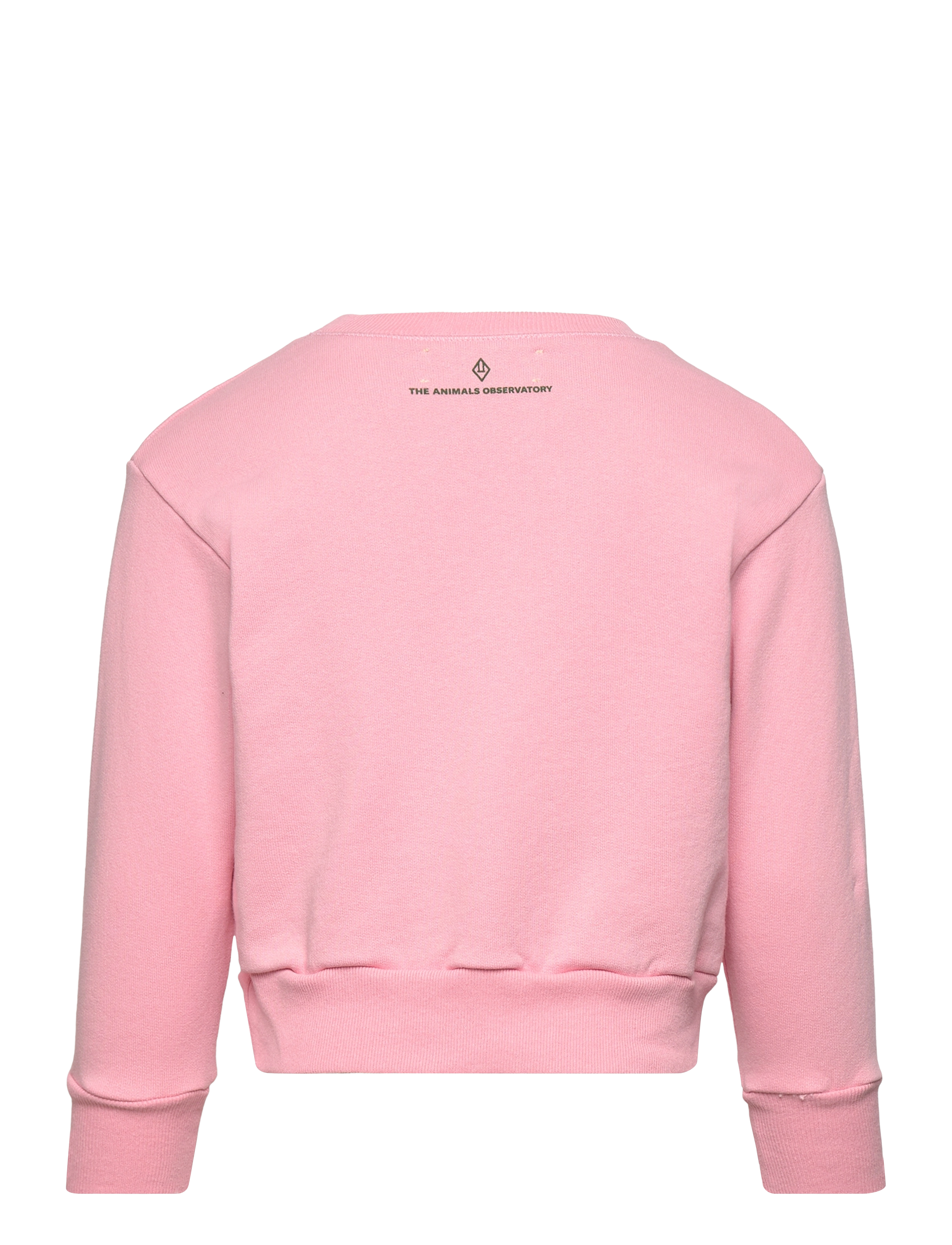 THE ANIMALS OBSERVATORY - BEAR KID SWEATSHIRT Pink - dressipluusid - pink - 2