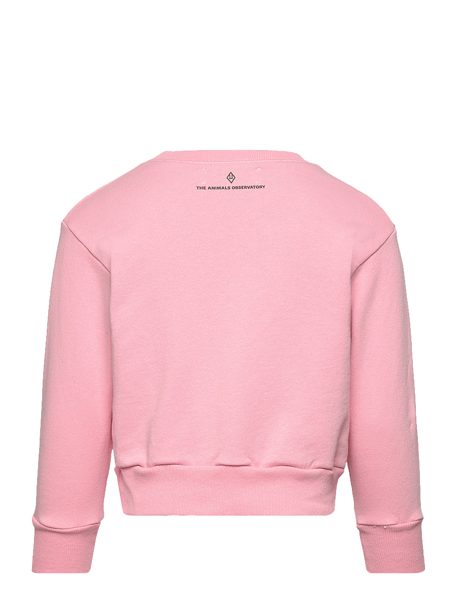 THE ANIMALS OBSERVATORY - BEAR KID SWEATSHIRT Pink - dressipluusid - pink - 2
