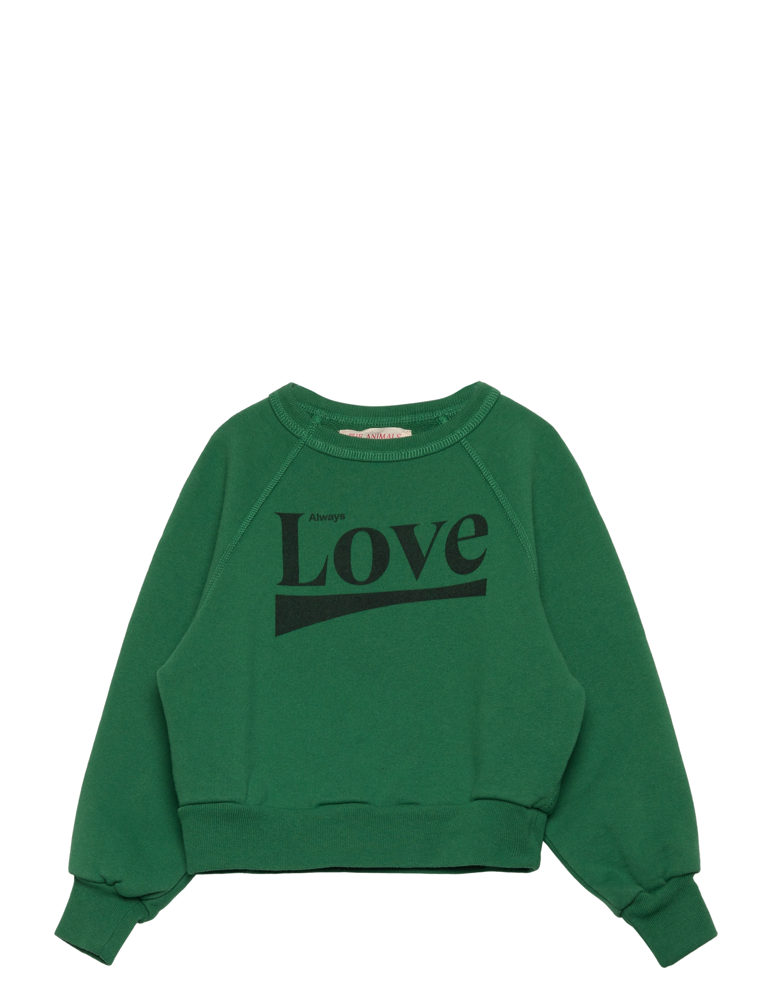 THE ANIMALS OBSERVATORY - SHARK KID SWEATSHIRT Green - sweat-shirt - green - 1