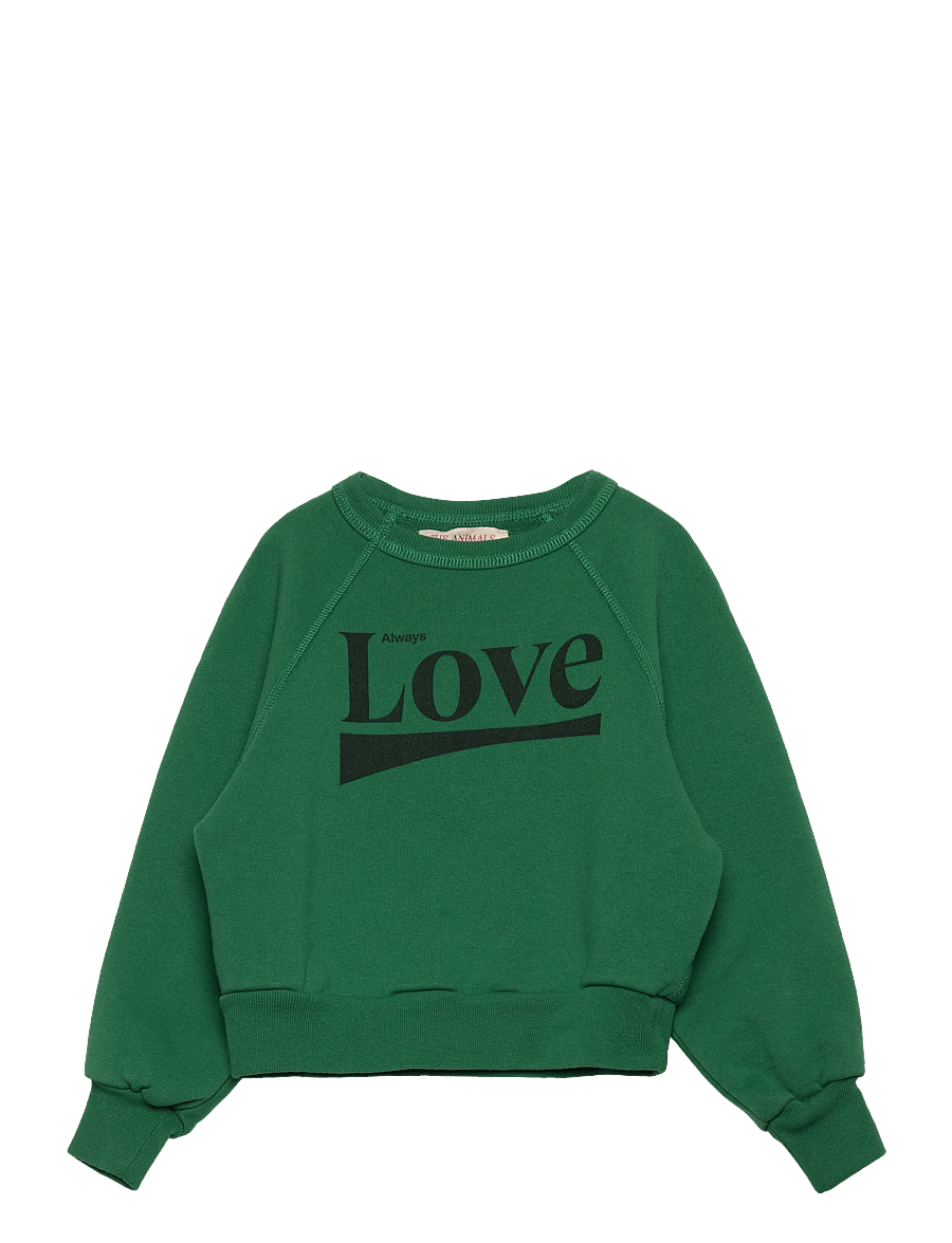 THE ANIMALS OBSERVATORY - SHARK KID SWEATSHIRT Green - sweatshirts - green - 1