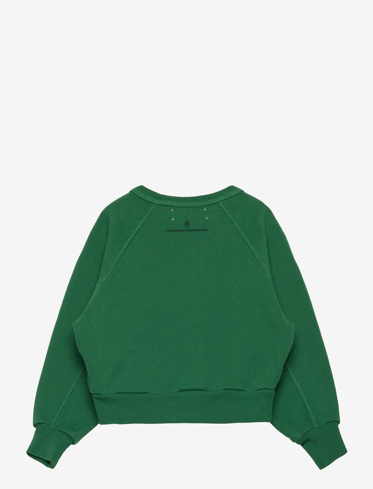 THE ANIMALS OBSERVATORY - SHARK KID SWEATSHIRT Green - dressipluusid - green - 2
