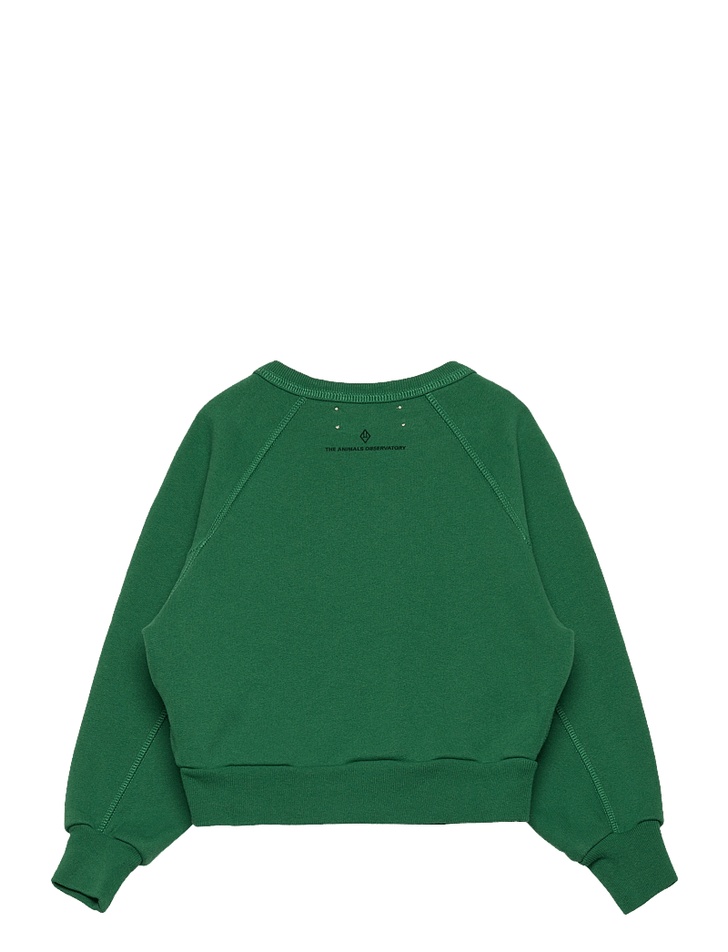 THE ANIMALS OBSERVATORY - SHARK KID SWEATSHIRT Green - dressipluusid - green - 2
