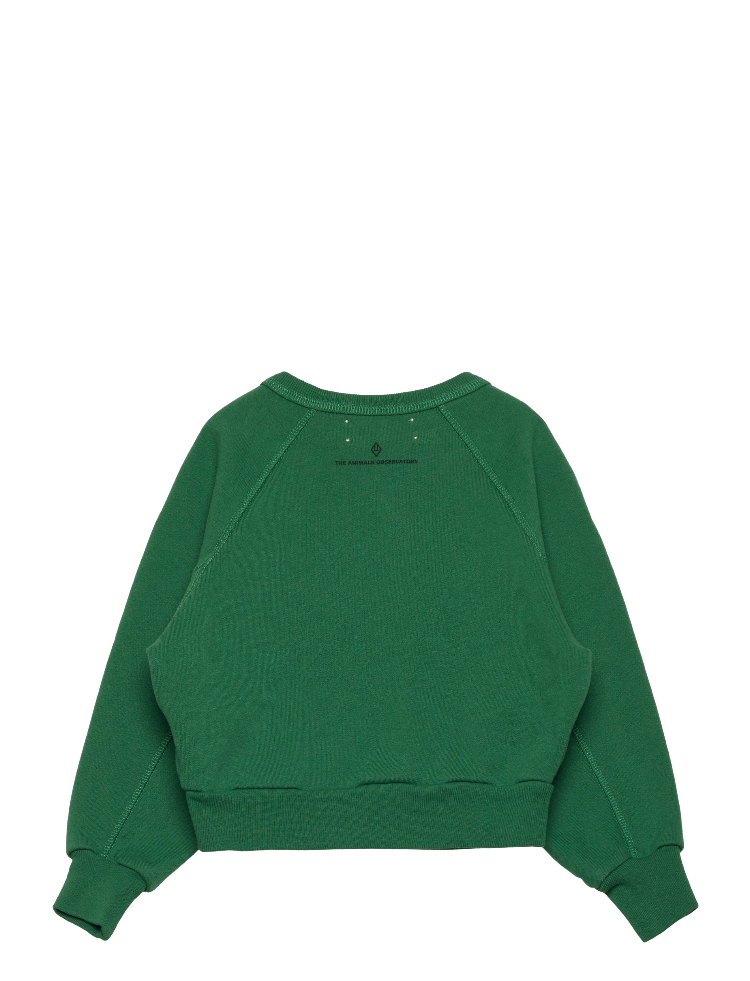 THE ANIMALS OBSERVATORY - SHARK KID SWEATSHIRT Green - sweat-shirt - green - 2