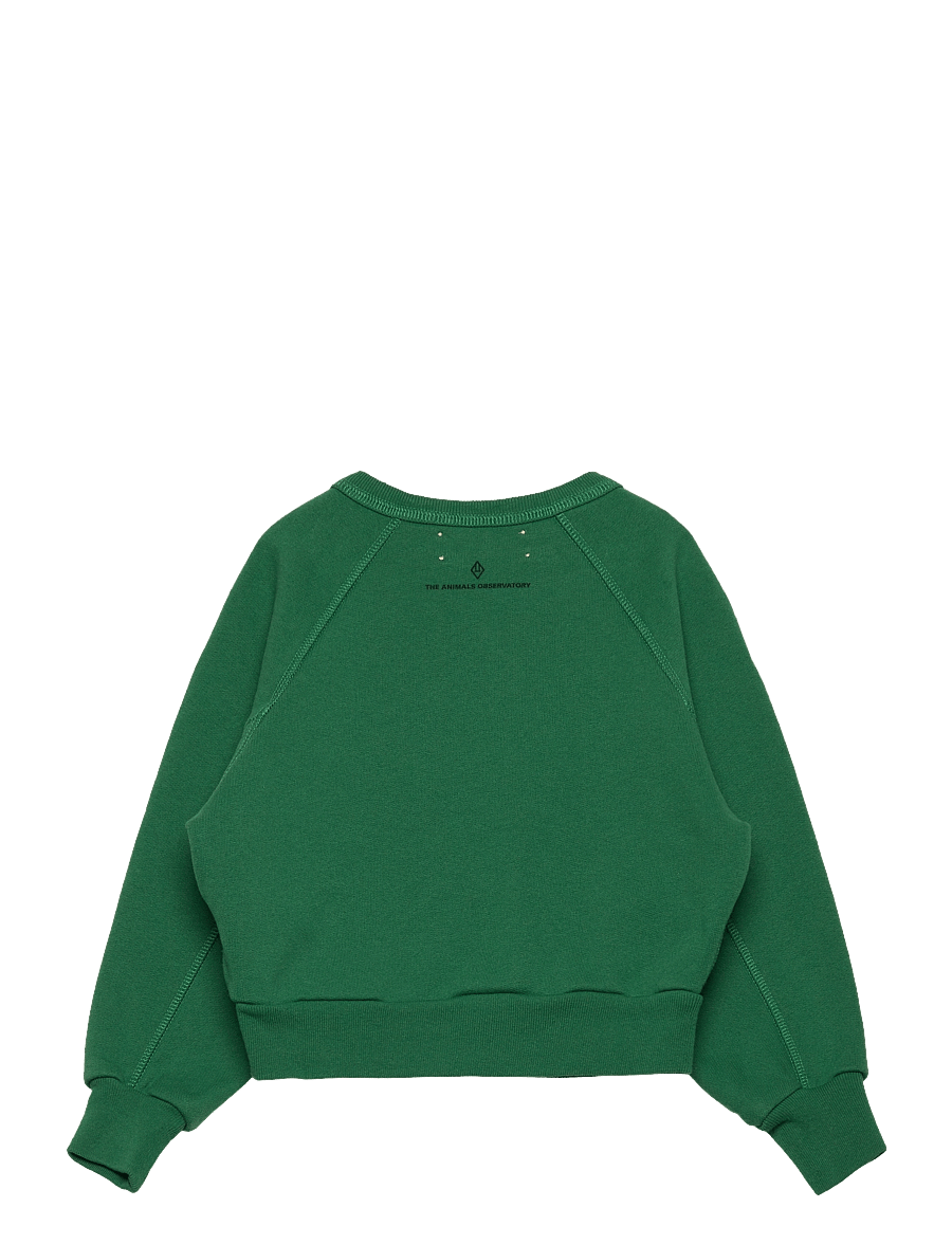 THE ANIMALS OBSERVATORY - SHARK KID SWEATSHIRT Green - sweatshirts - green - 2