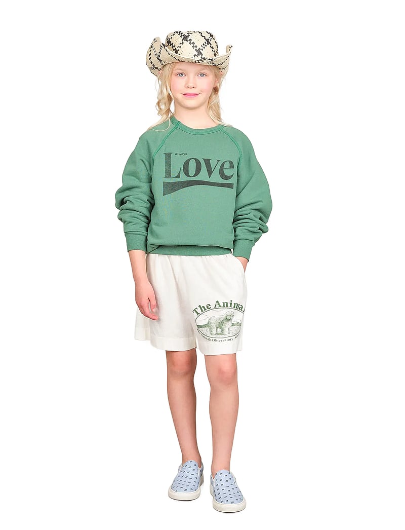 THE ANIMALS OBSERVATORY - SHARK KID SWEATSHIRT Green - dressipluusid - green - 0
