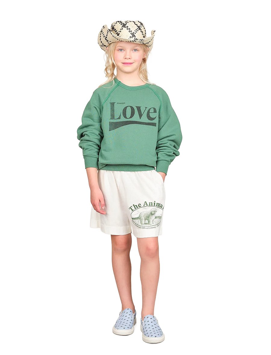 THE ANIMALS OBSERVATORY - SHARK KID SWEATSHIRT Green - sweatshirts - green - 0